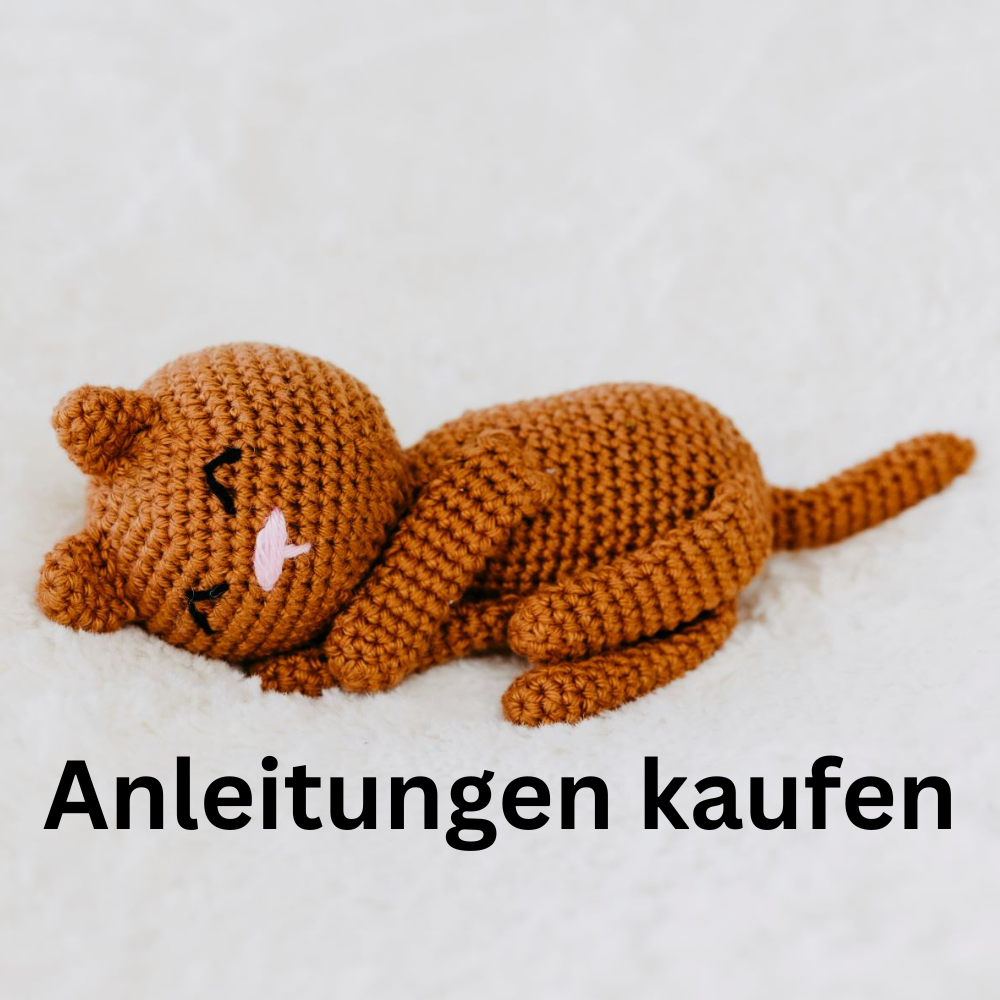 Anleitungen kaufen.png