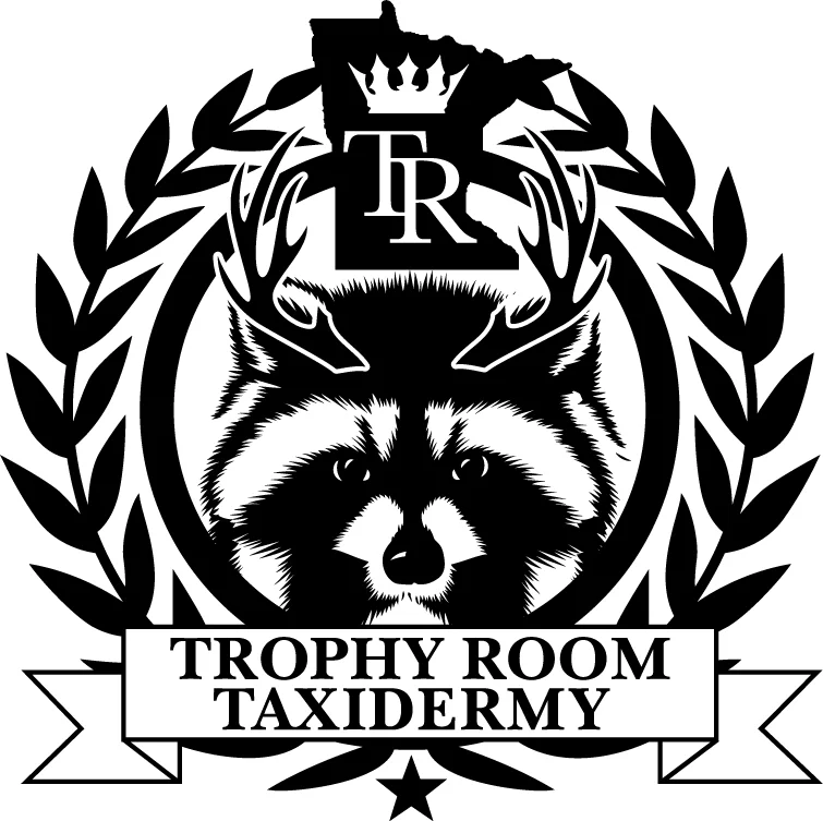 FINALRACCOON-rev1.jpg