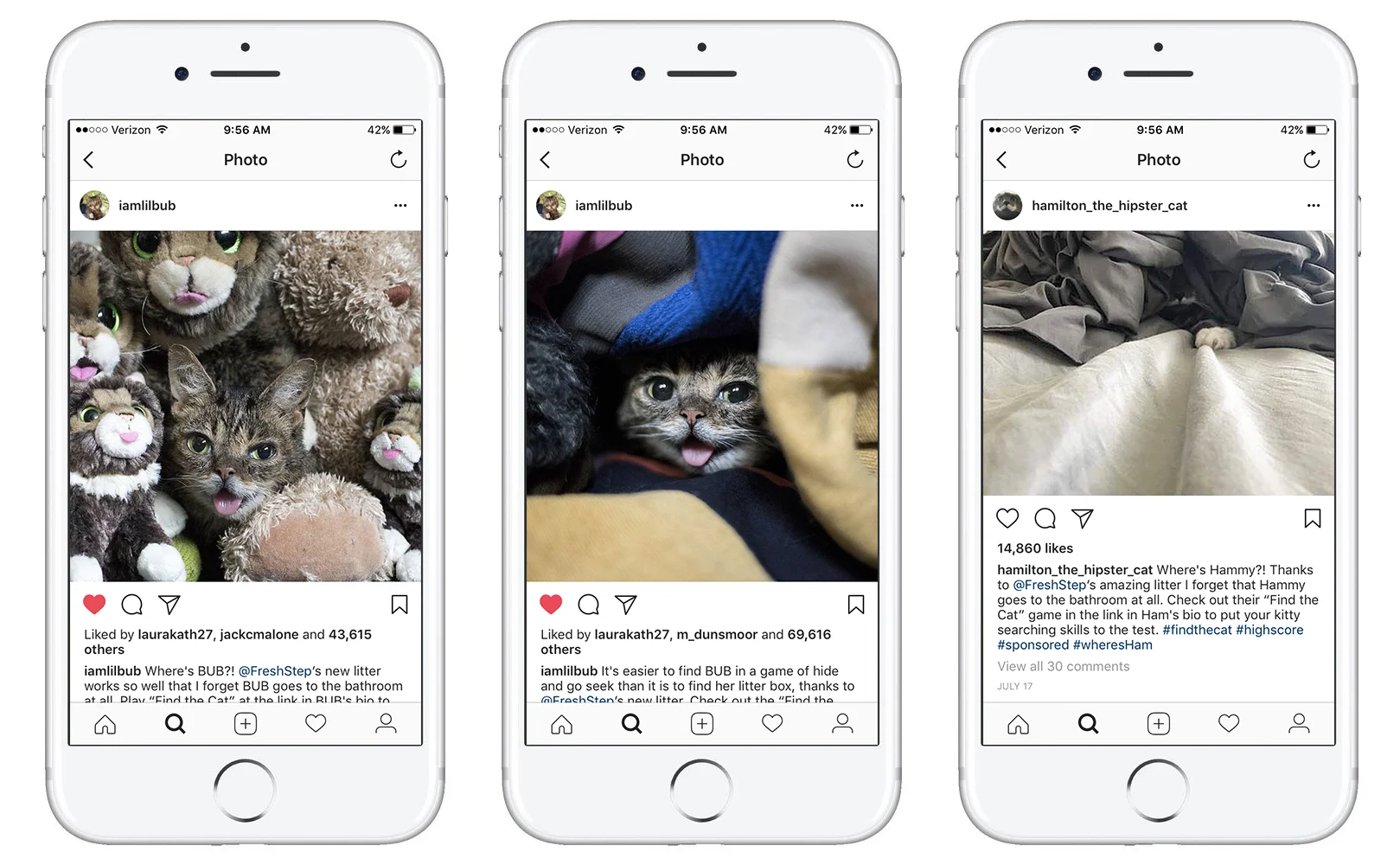 insta_cats.jpg