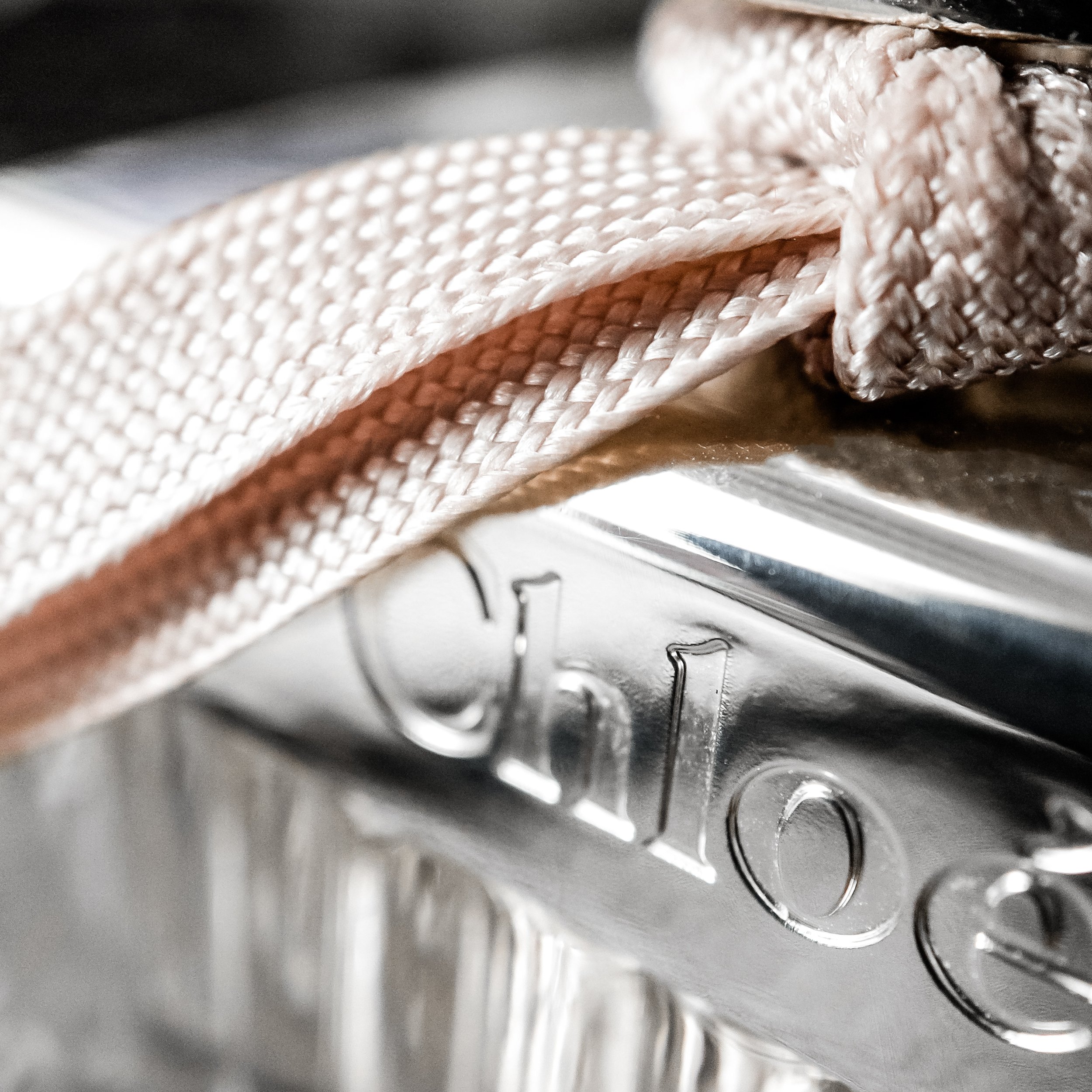 Chloe-closeup.jpg