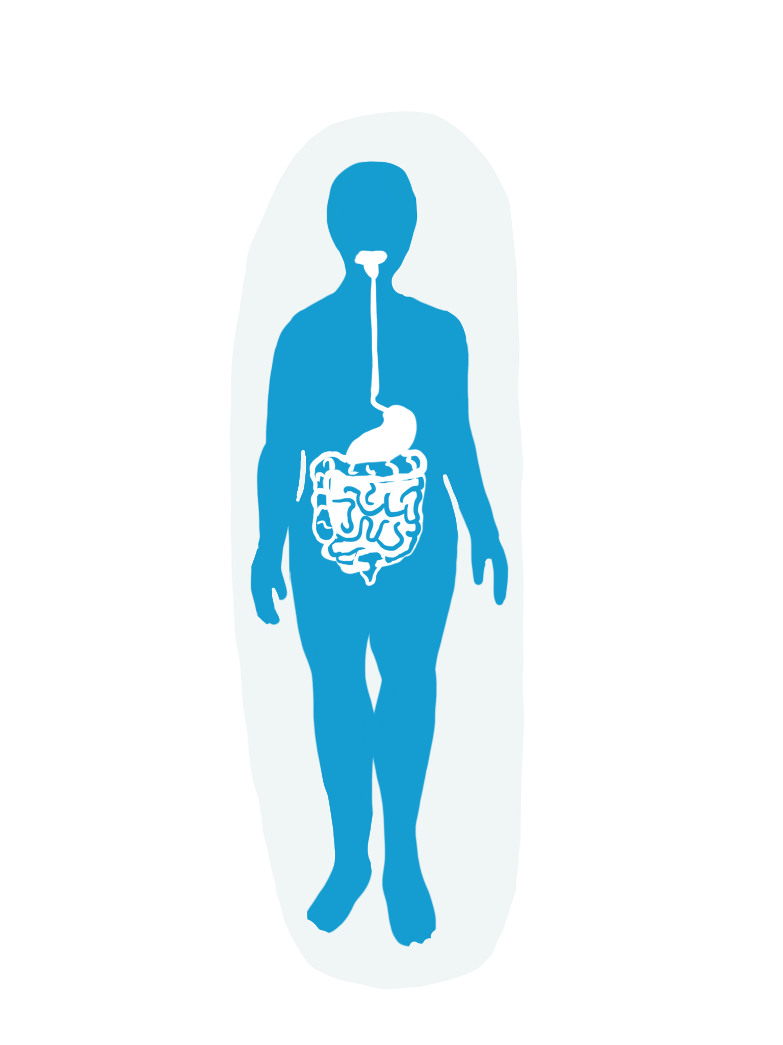 Digestive System