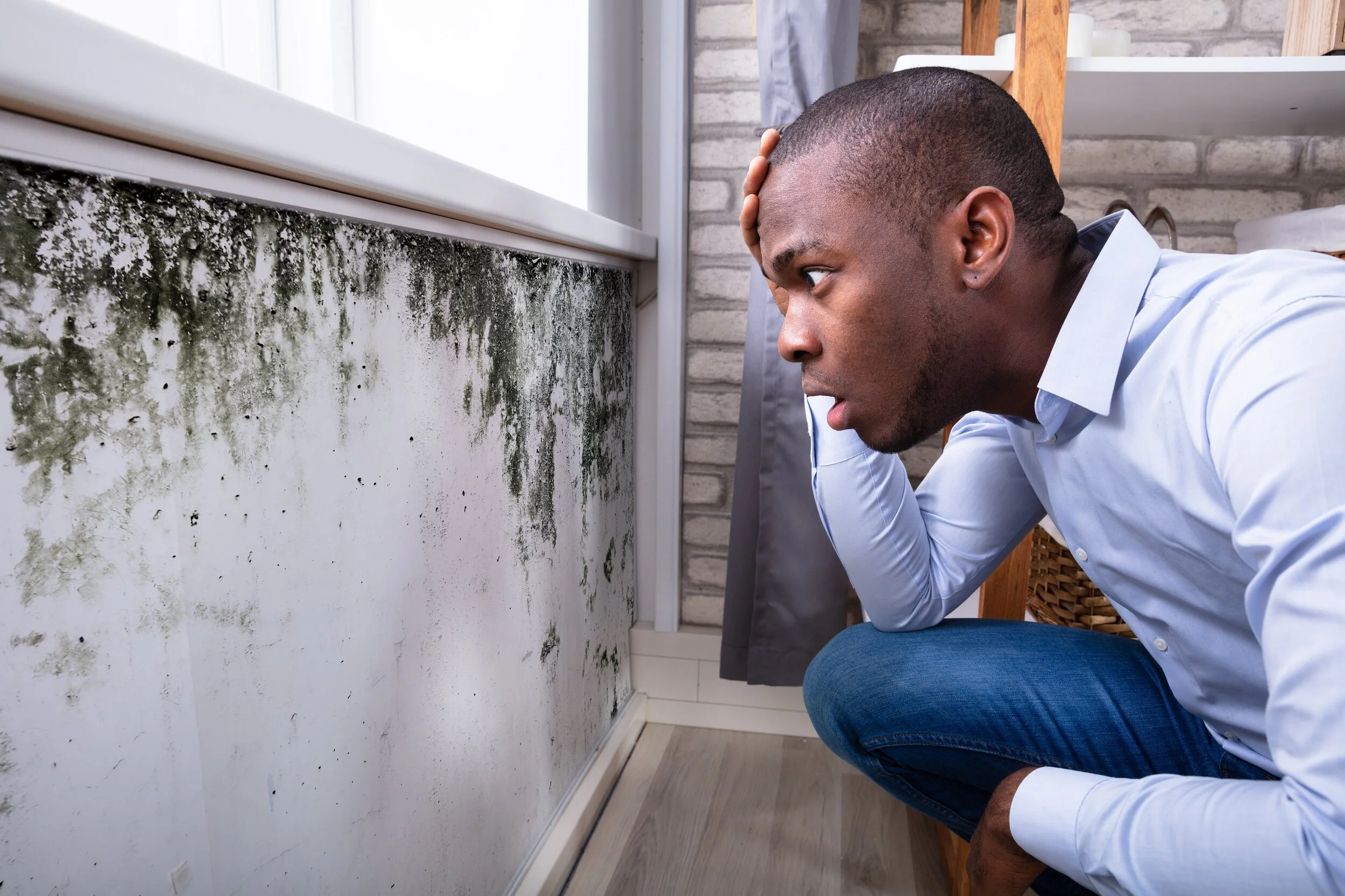 HBOT &amp; Mold Exposure