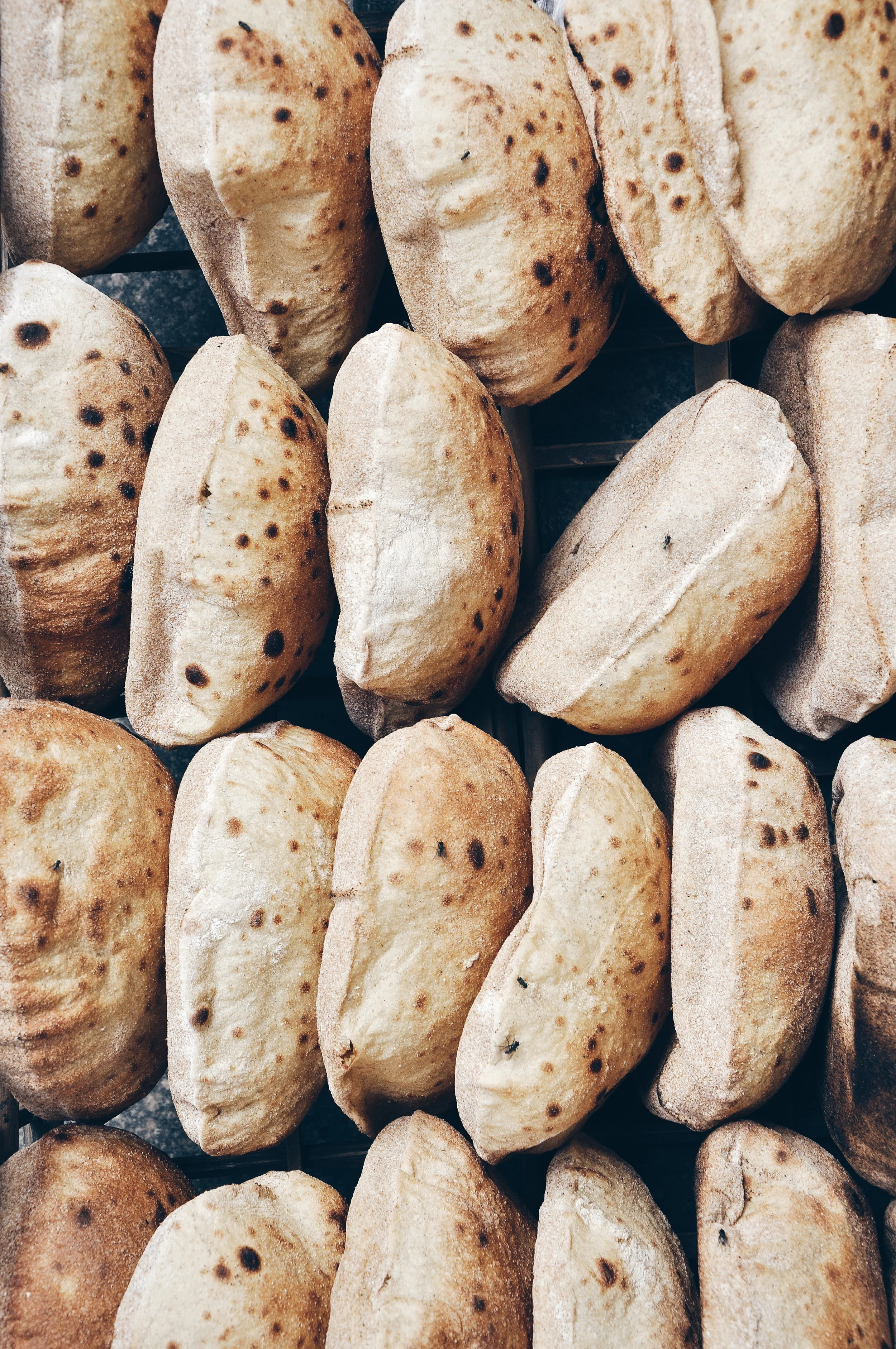 Tuesday, 03/05/19 - Mark 14:1-31