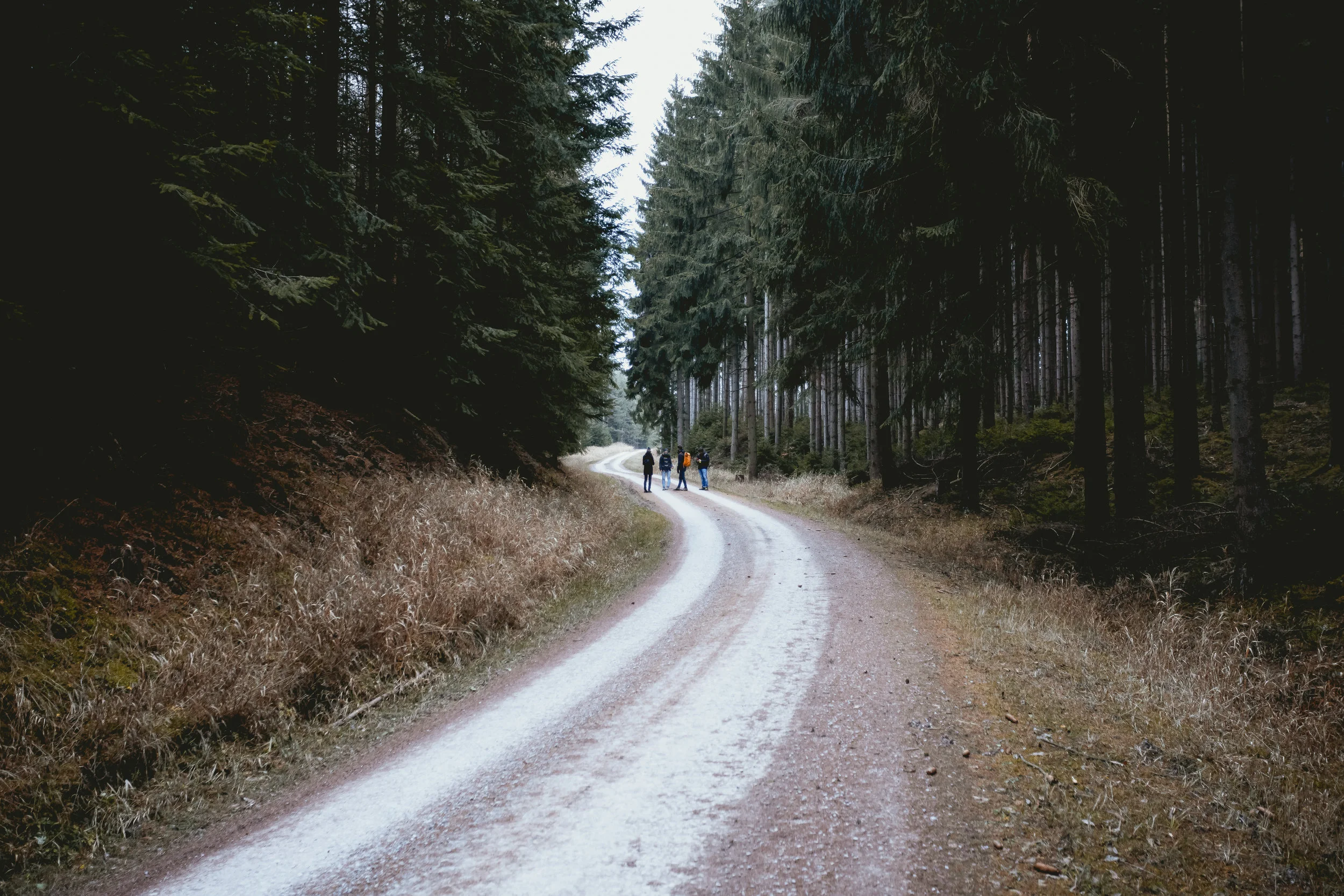 Thursday, 03/28/19 Luke 10