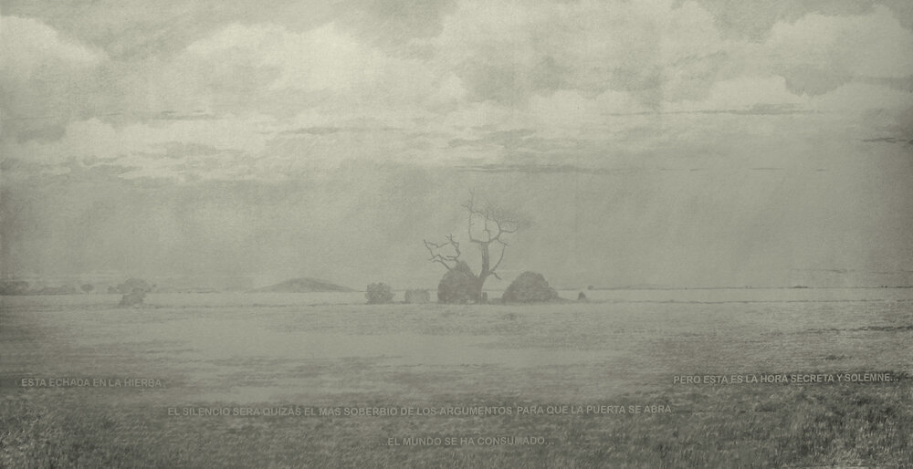 The grassland. Silver acrylic on canvas. 78” x 118”. 2008. 