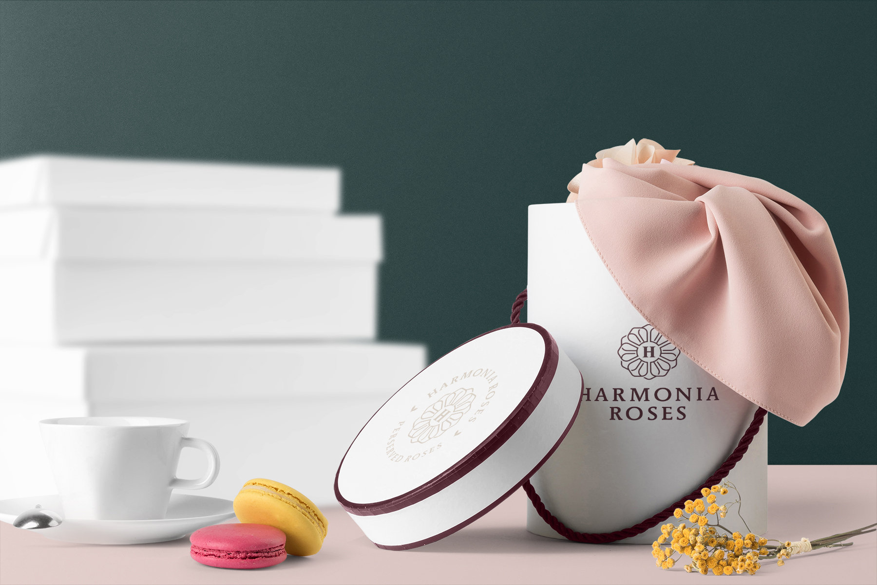 Harmonia_16-front-packaging-scene.jpg