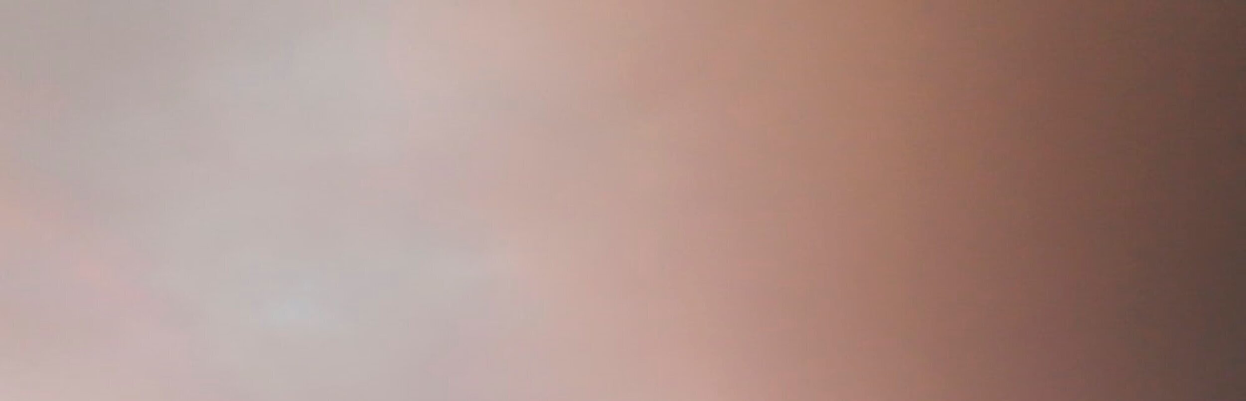 back.jpg