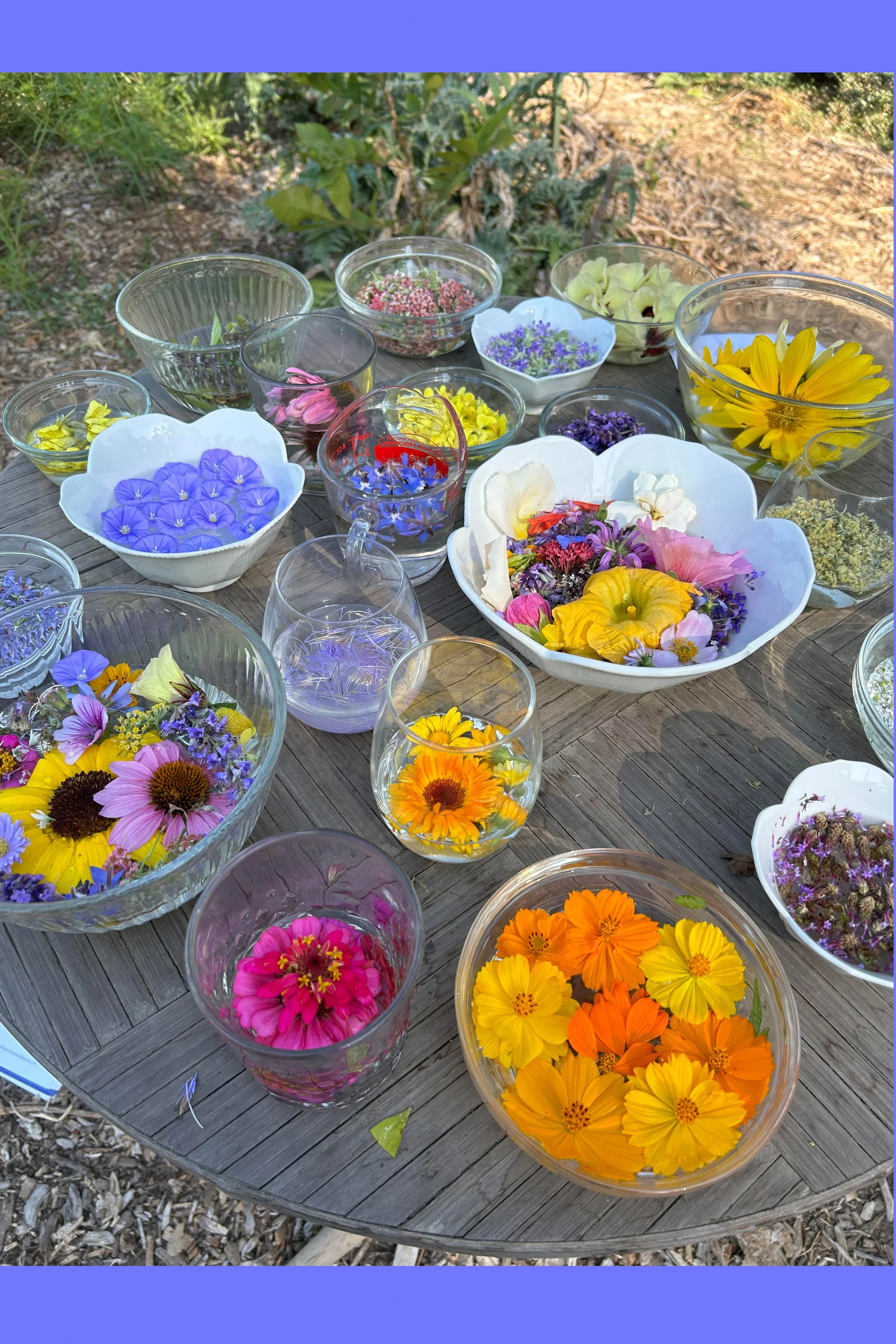FlowerEssences.jpg