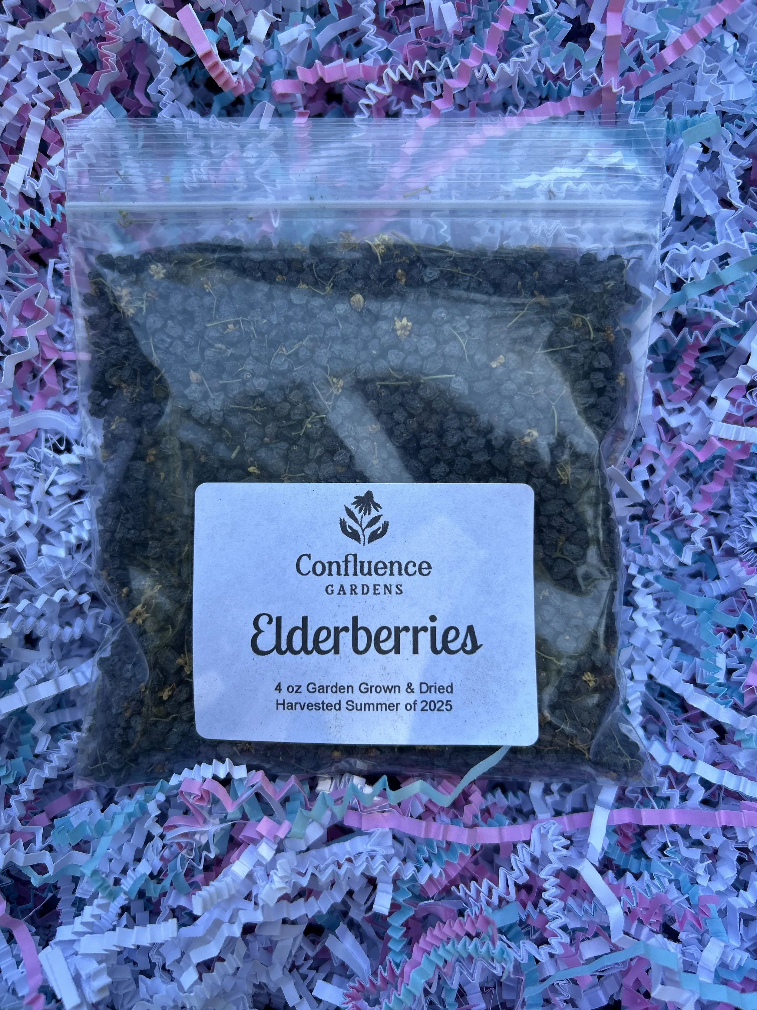Elderberries.jpg