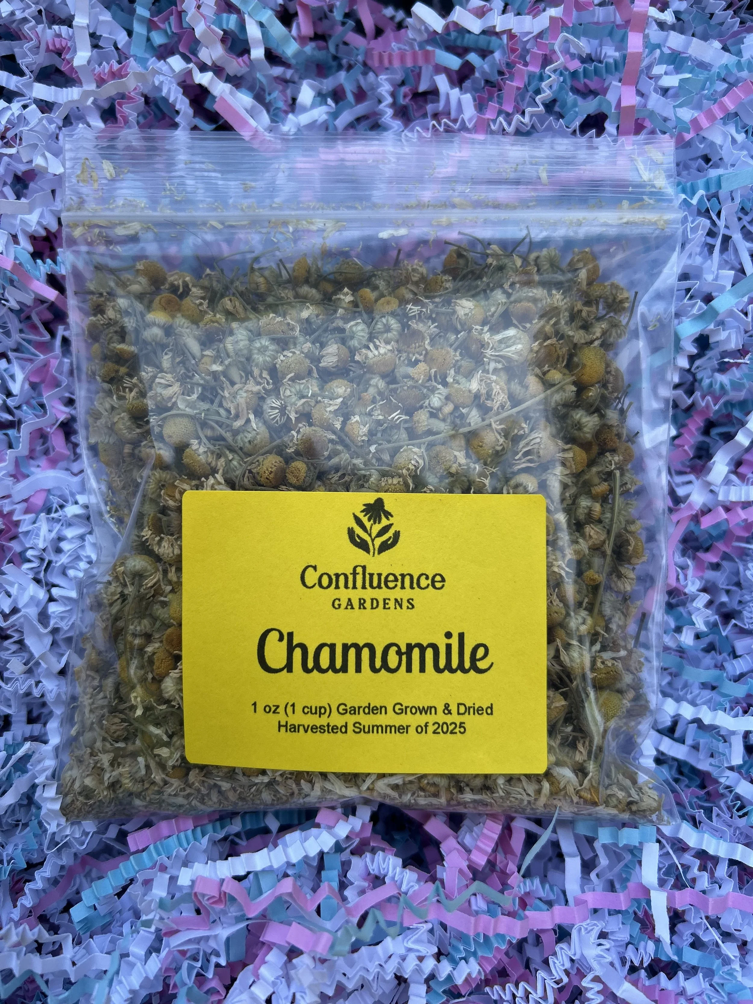 Chamomile.jpg
