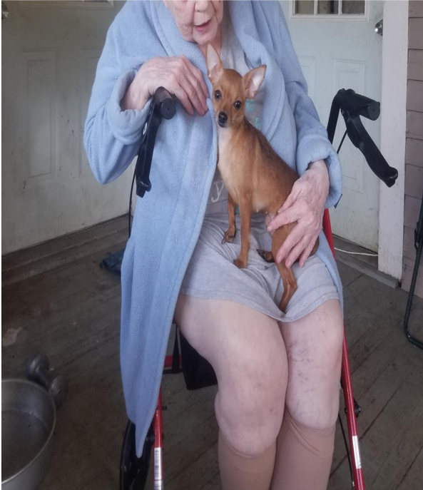 Disabled, Blind Senior and Her Dogs
