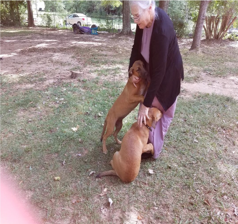 Disabled Senior Taking Care of Son’s (in Jail) Dogs