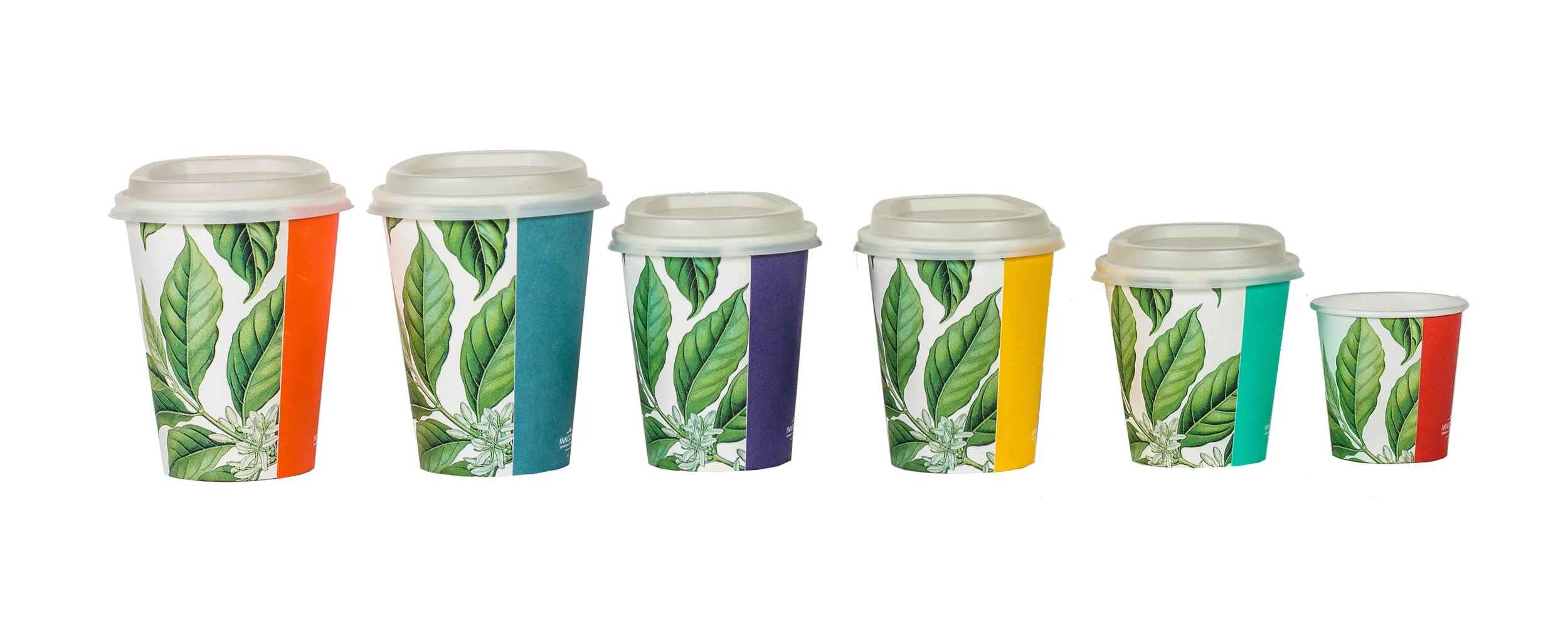 cups side 2.jpg