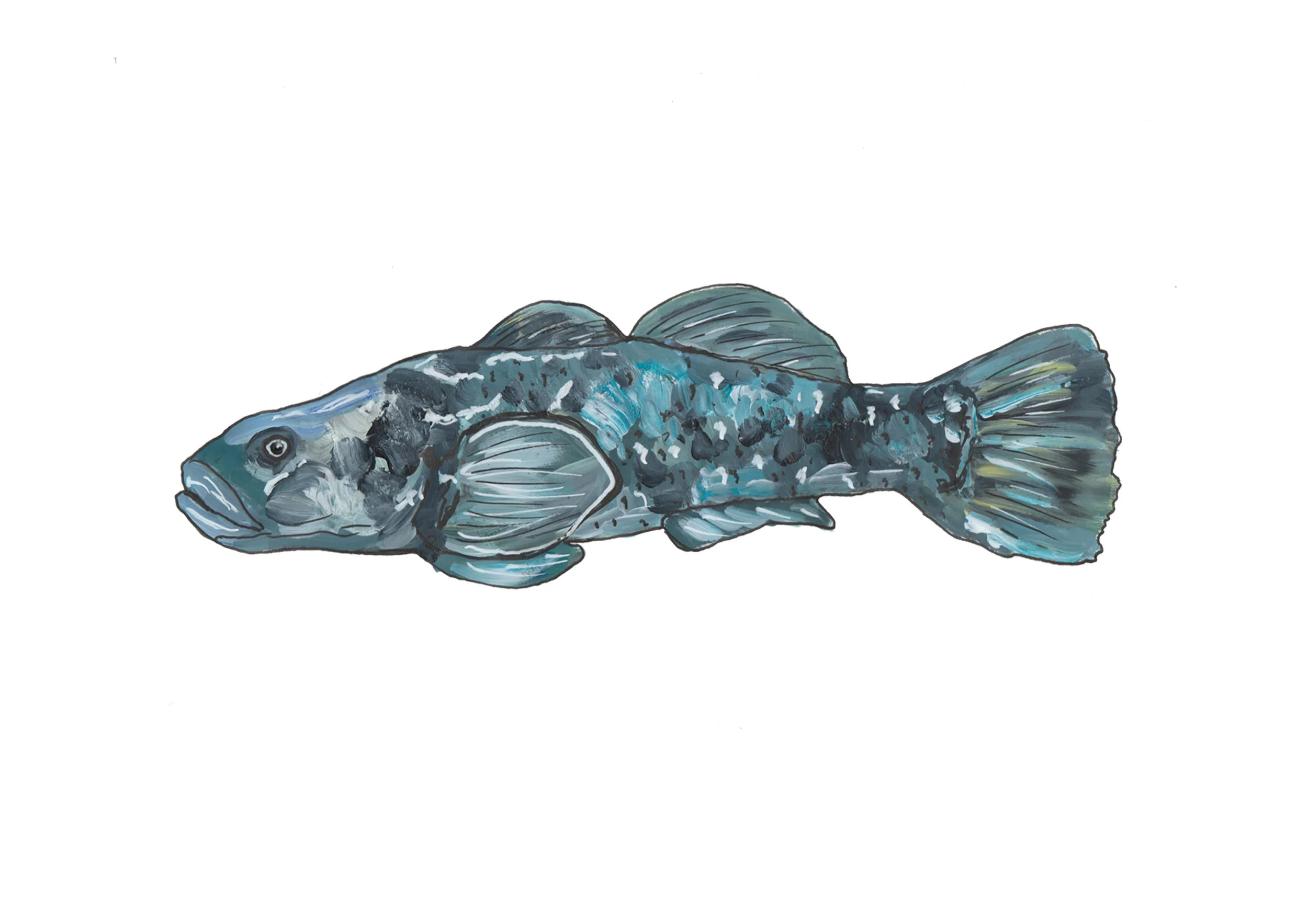 fish.jpg