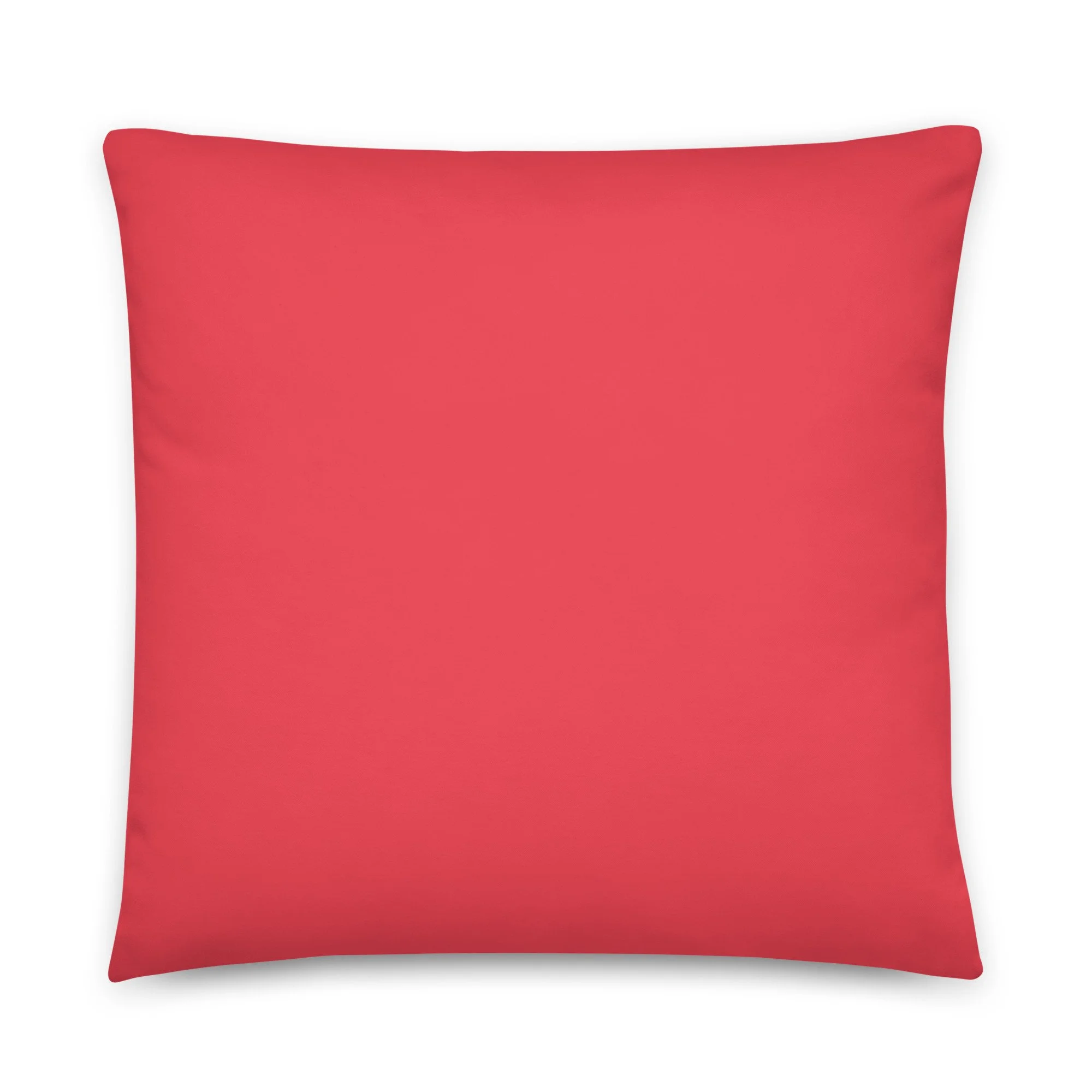 all-over-print-basic-pillow-22x22-back-68cd9b1aae7c7.jpg