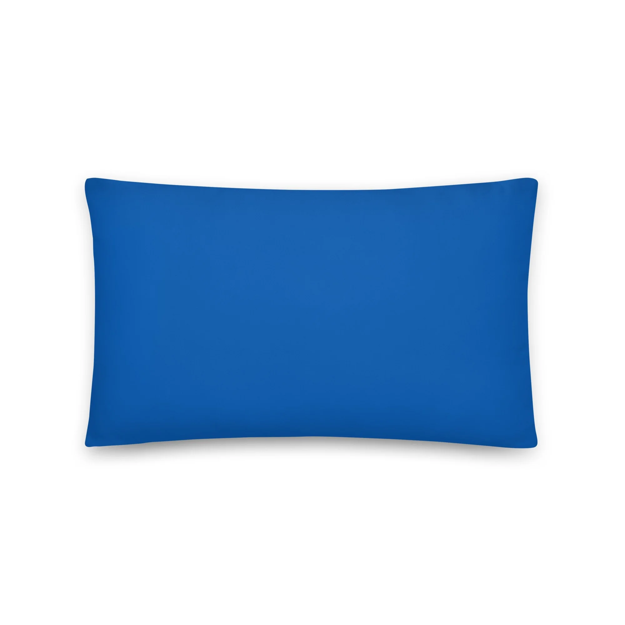 all-over-print-basic-pillow-20x12-back-68cda5bfac562.jpg