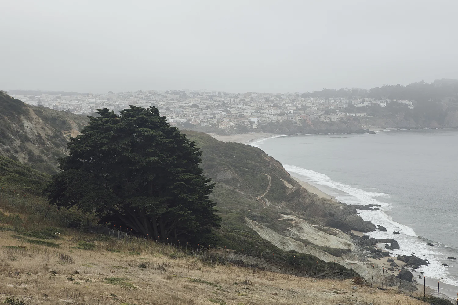 beach-san-francisco.jpg