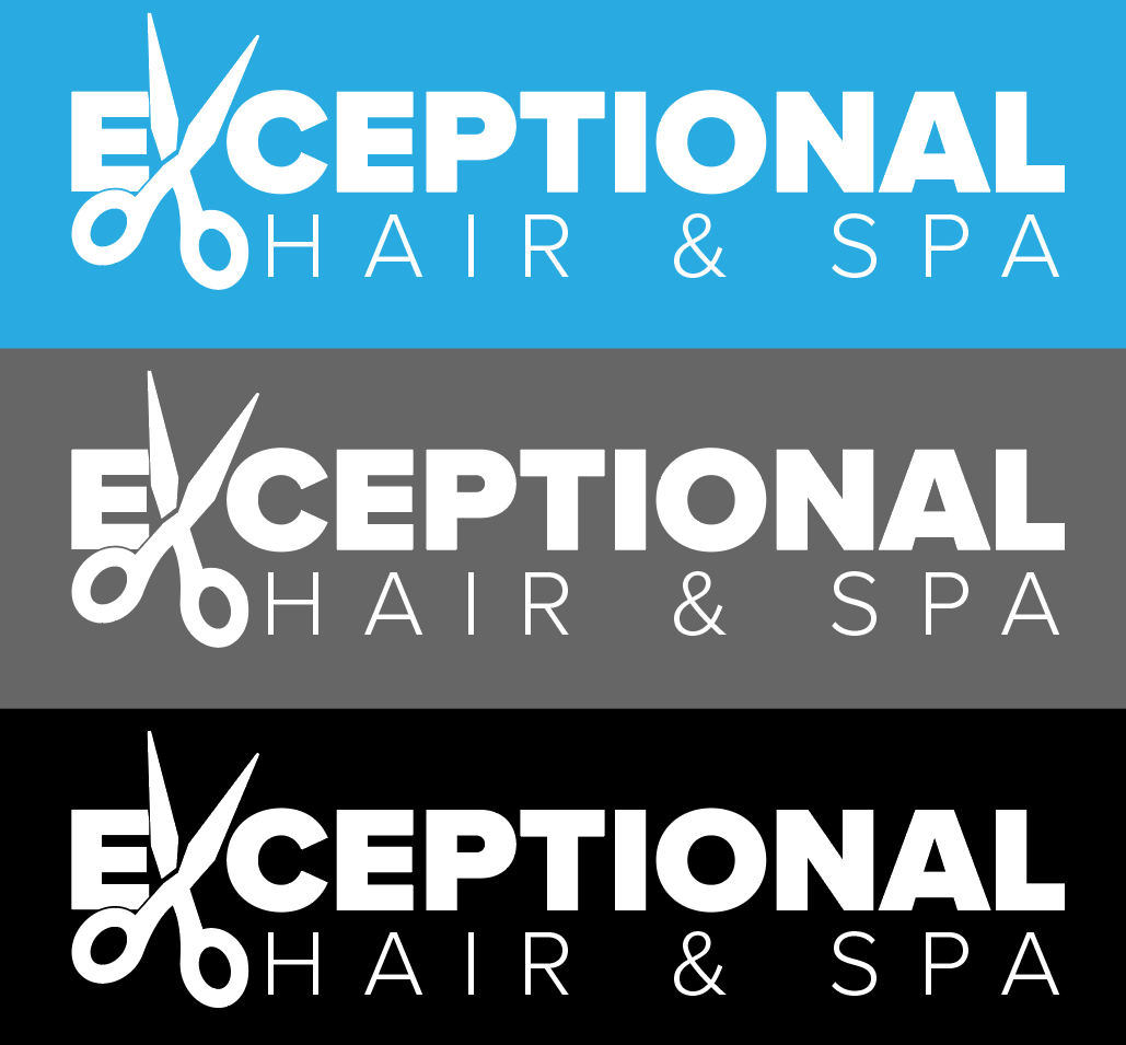 Exceptional Hair & Spa - Logo Concepts