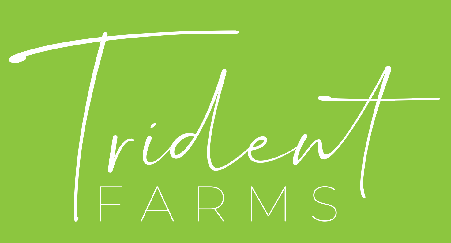 Trident Farms - Logo Concept