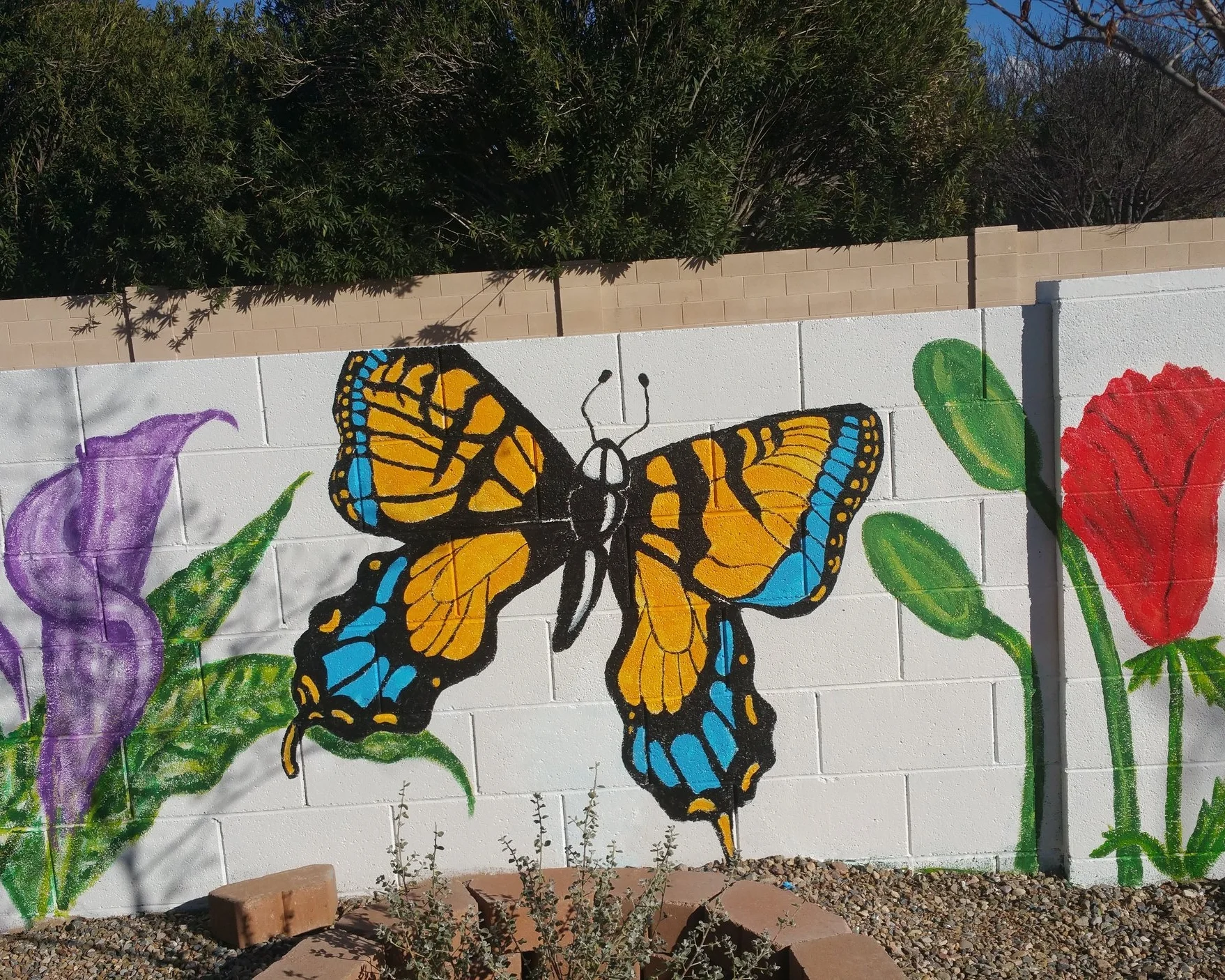backyard butterfly .jpg