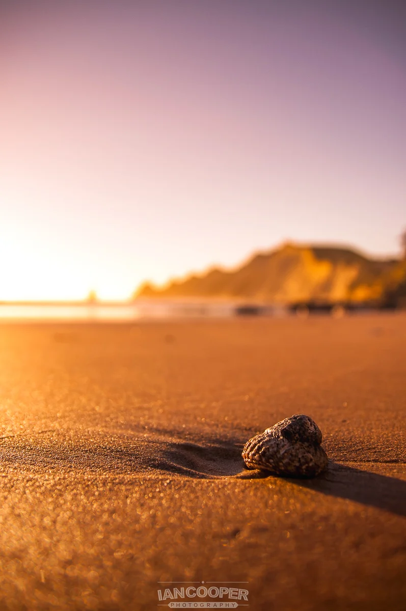 Cape Kidnappers Shell.jpg