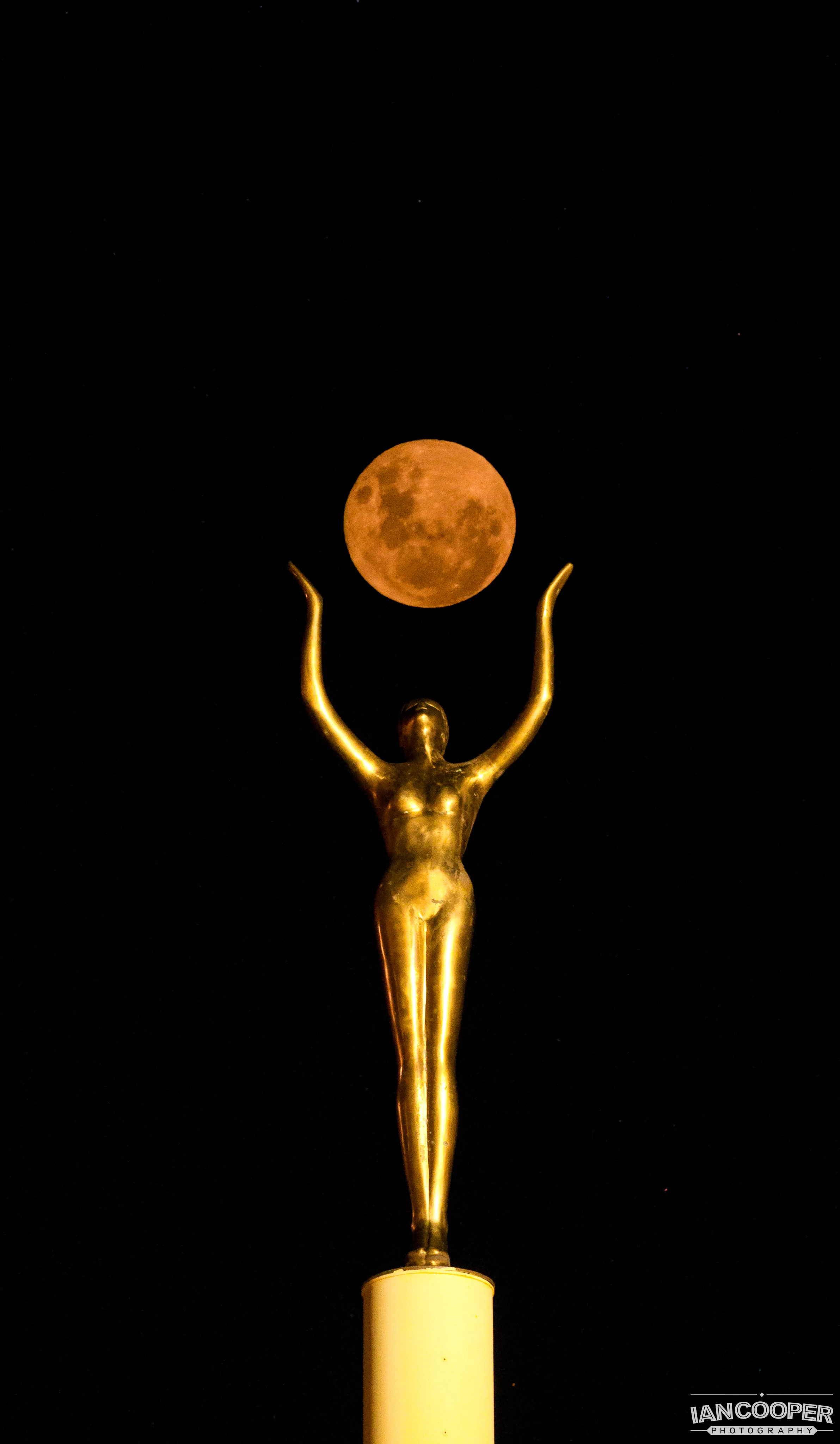 Spirit of Napier.JPG