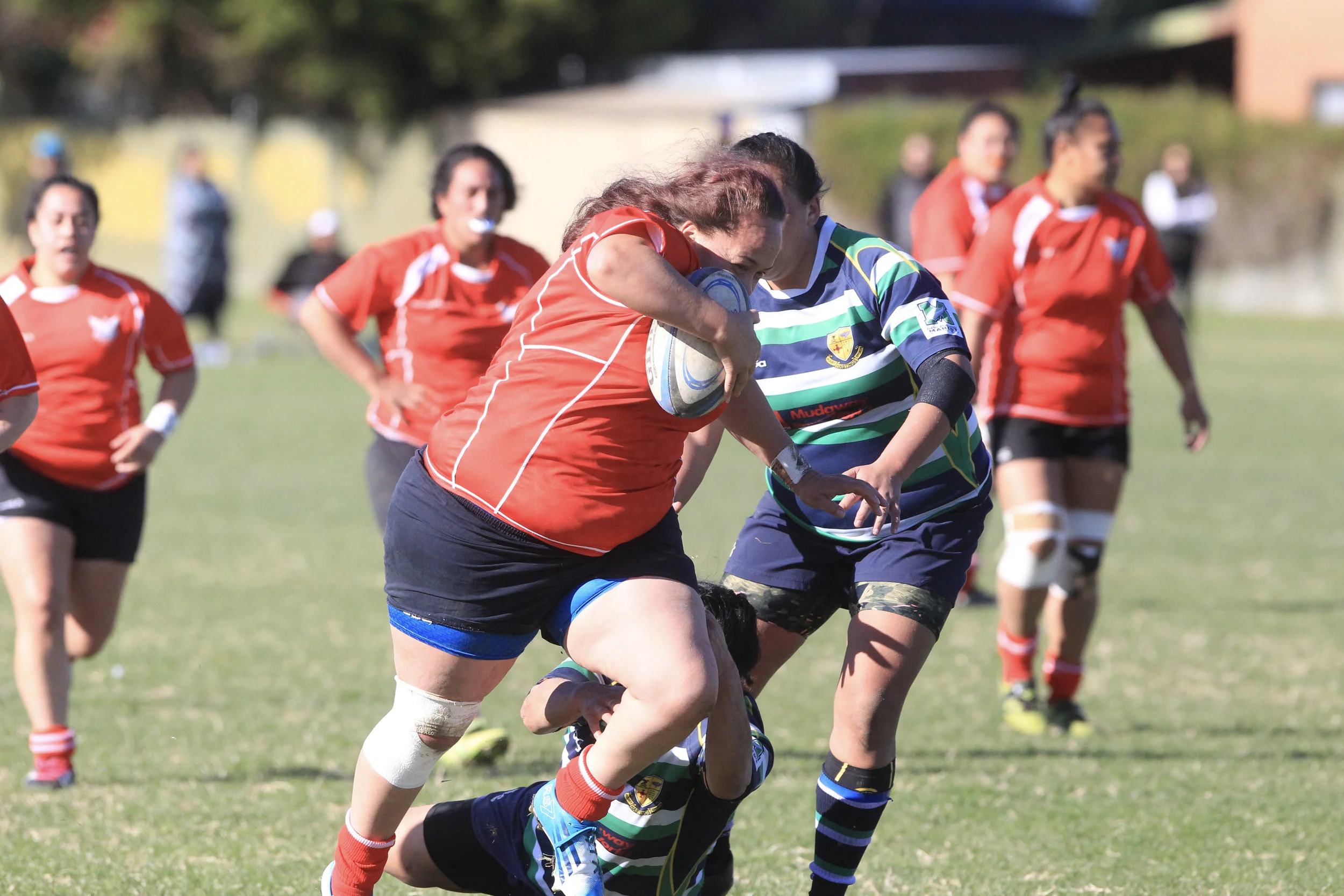 Napier Tech Women's vs Hadtings Rugby &amp; Sports Women's
