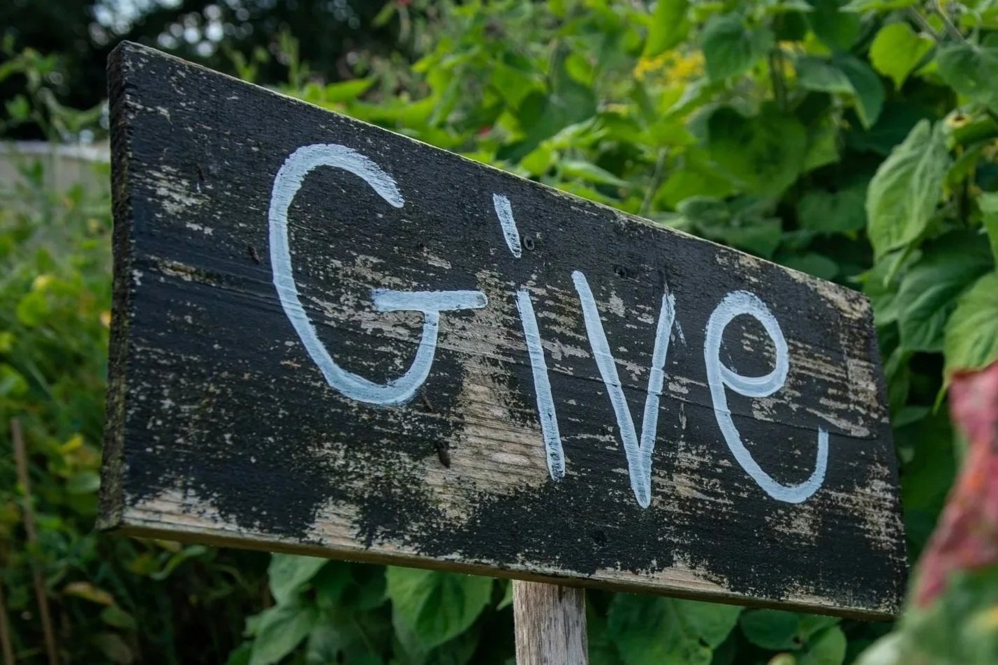 Small Acts, Real Impact: From Everyday Kindness to Purpose-Driven Business