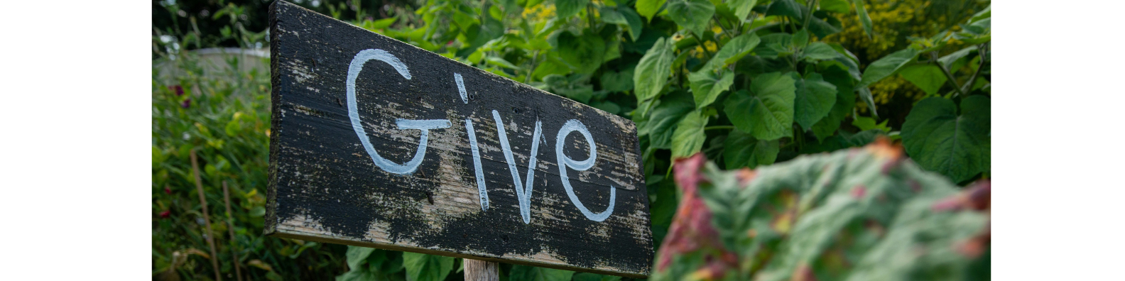 Katie Brandl Digital Marketing Social Impact Business