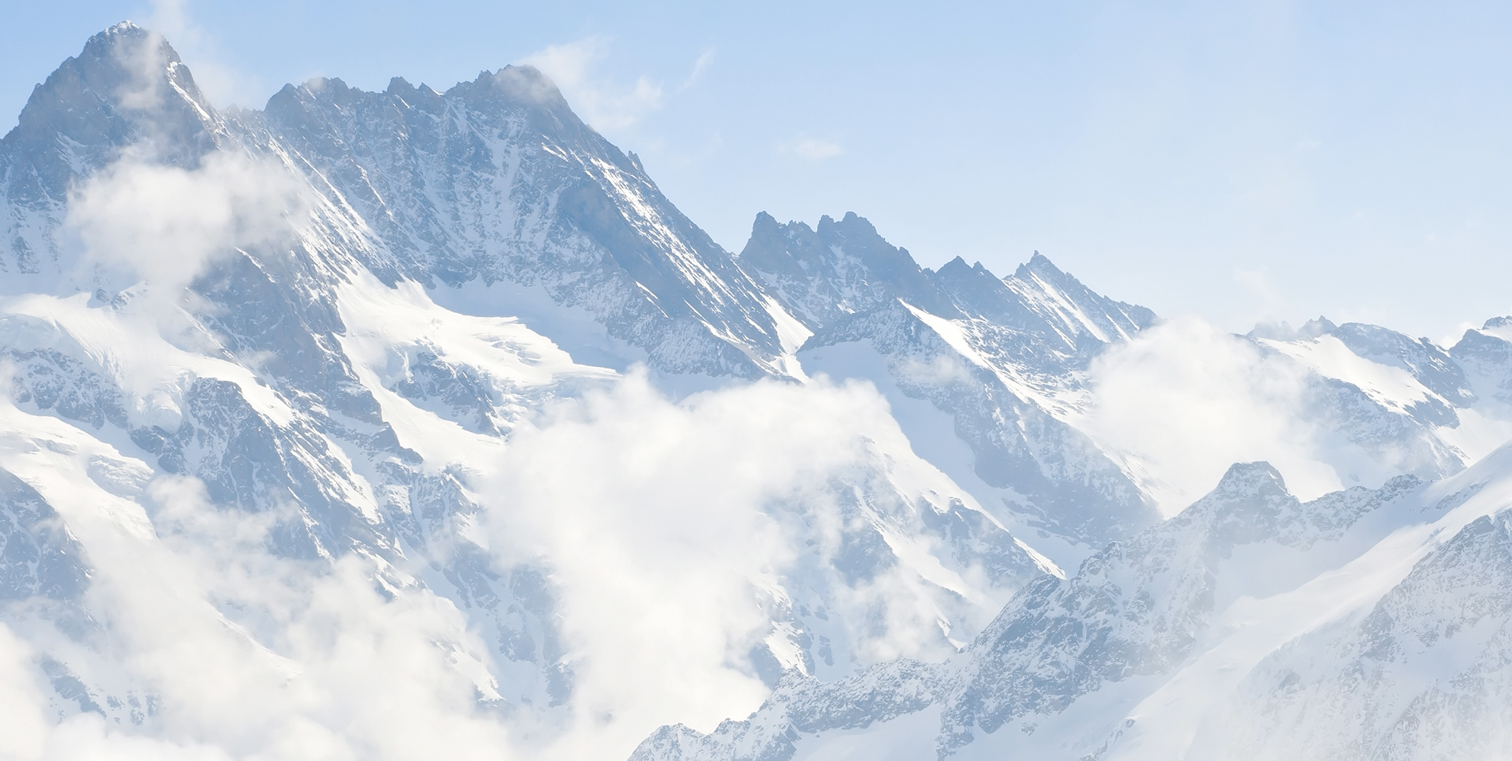 website banner v2.jpg