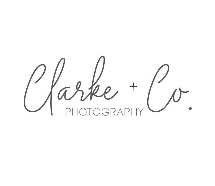 Clarke + Co. Photography
