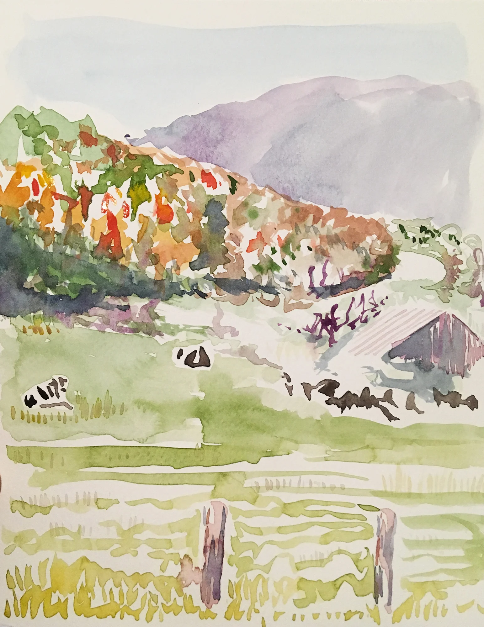 Cow Landscape
