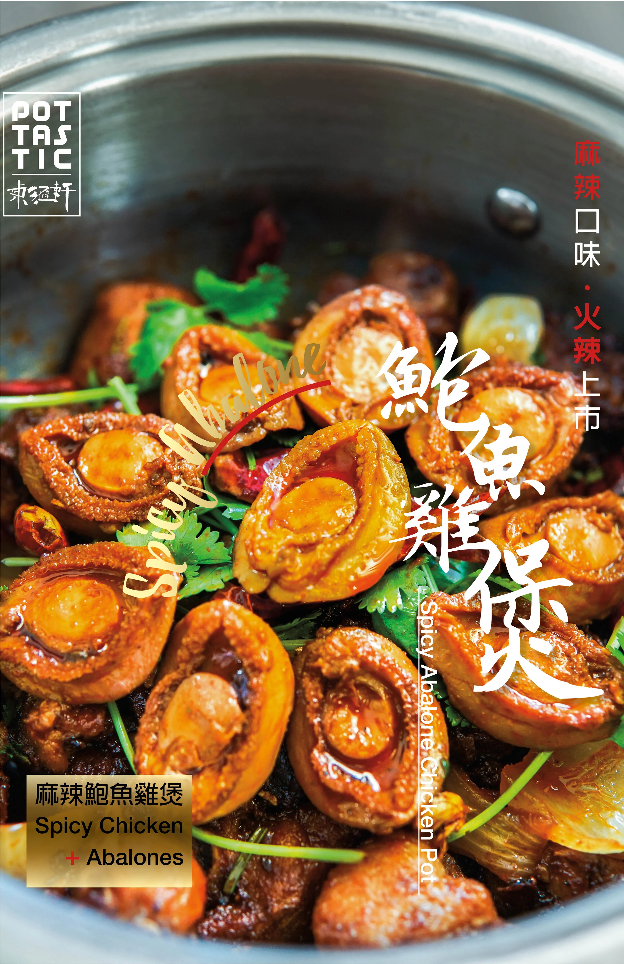 11x17 abalone.jpg