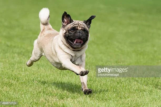 Photo by photohomepage/iStock / Getty Images