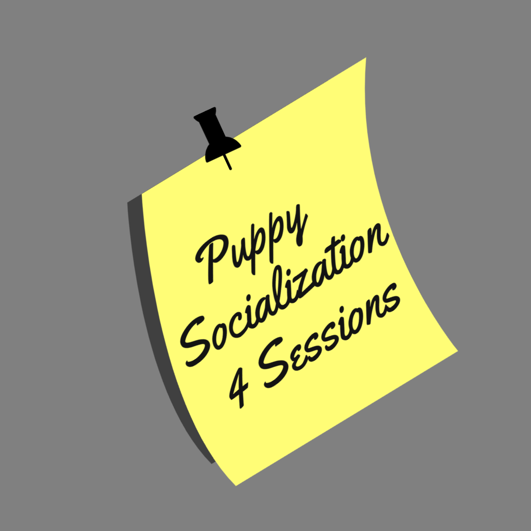 Private Puppy 4 Sessions 