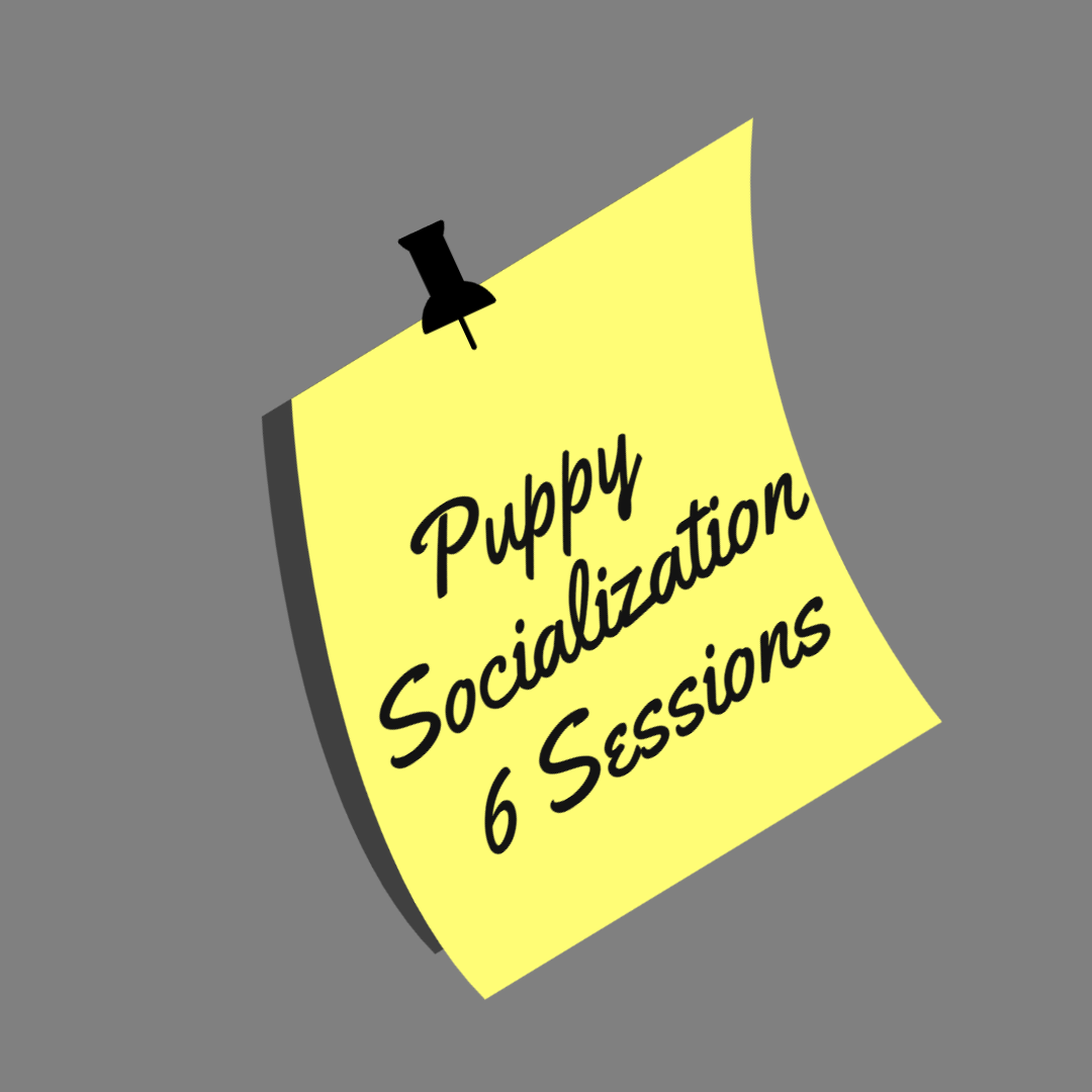 Private Puppy 6 Sessions