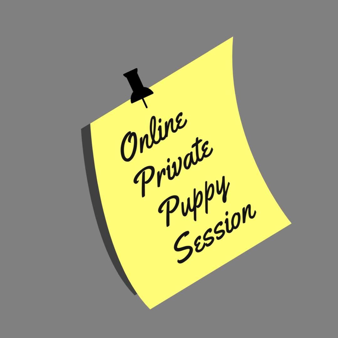Online Private Puppy Session.png