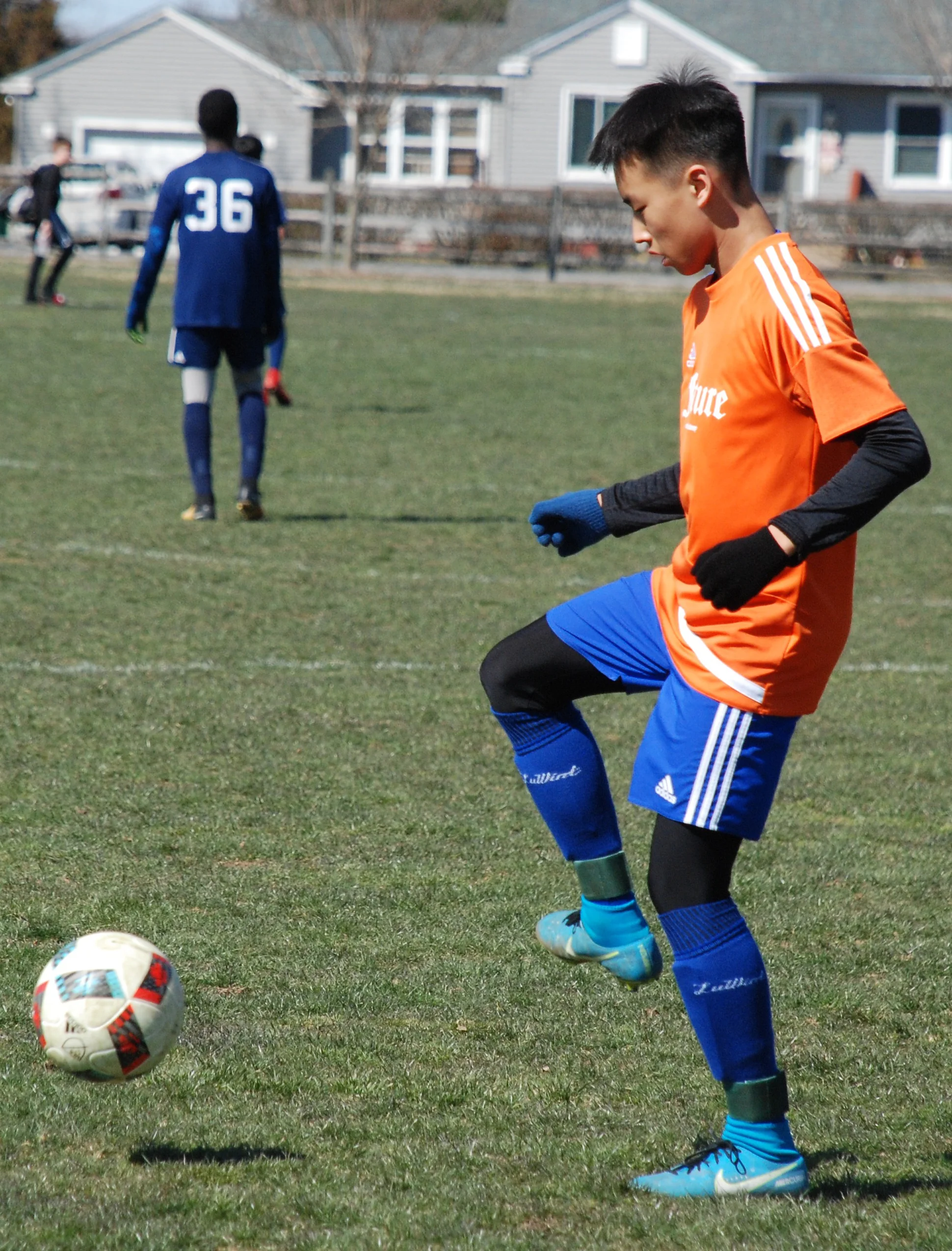 DSC_7519.jpg