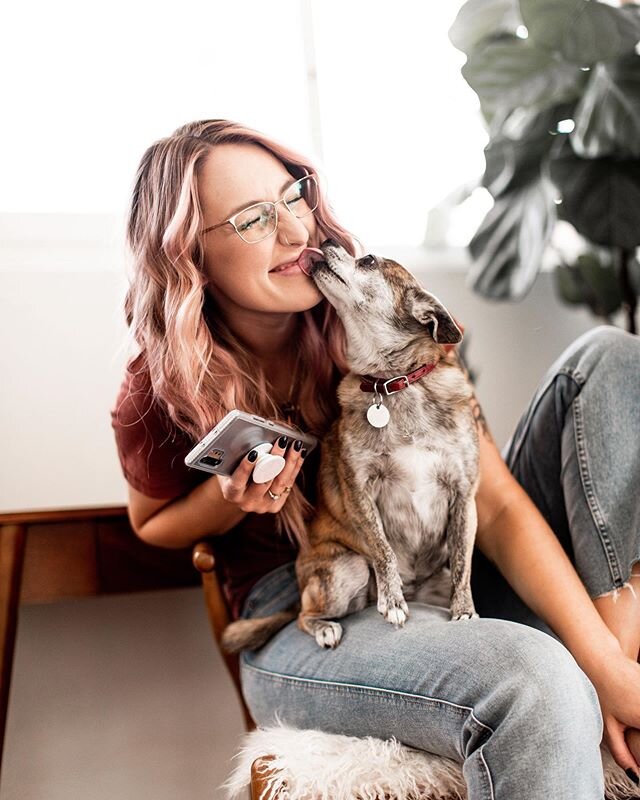 Who else got a quarantine puppy?! I definitely did🤪 He is the BEST and I love him so. I don&rsquo;t have a photo of him for you, but here&rsquo;s @jamiedanahairstylist and her cute pup😆 I&rsquo;ll post a pic of my pup in stories!