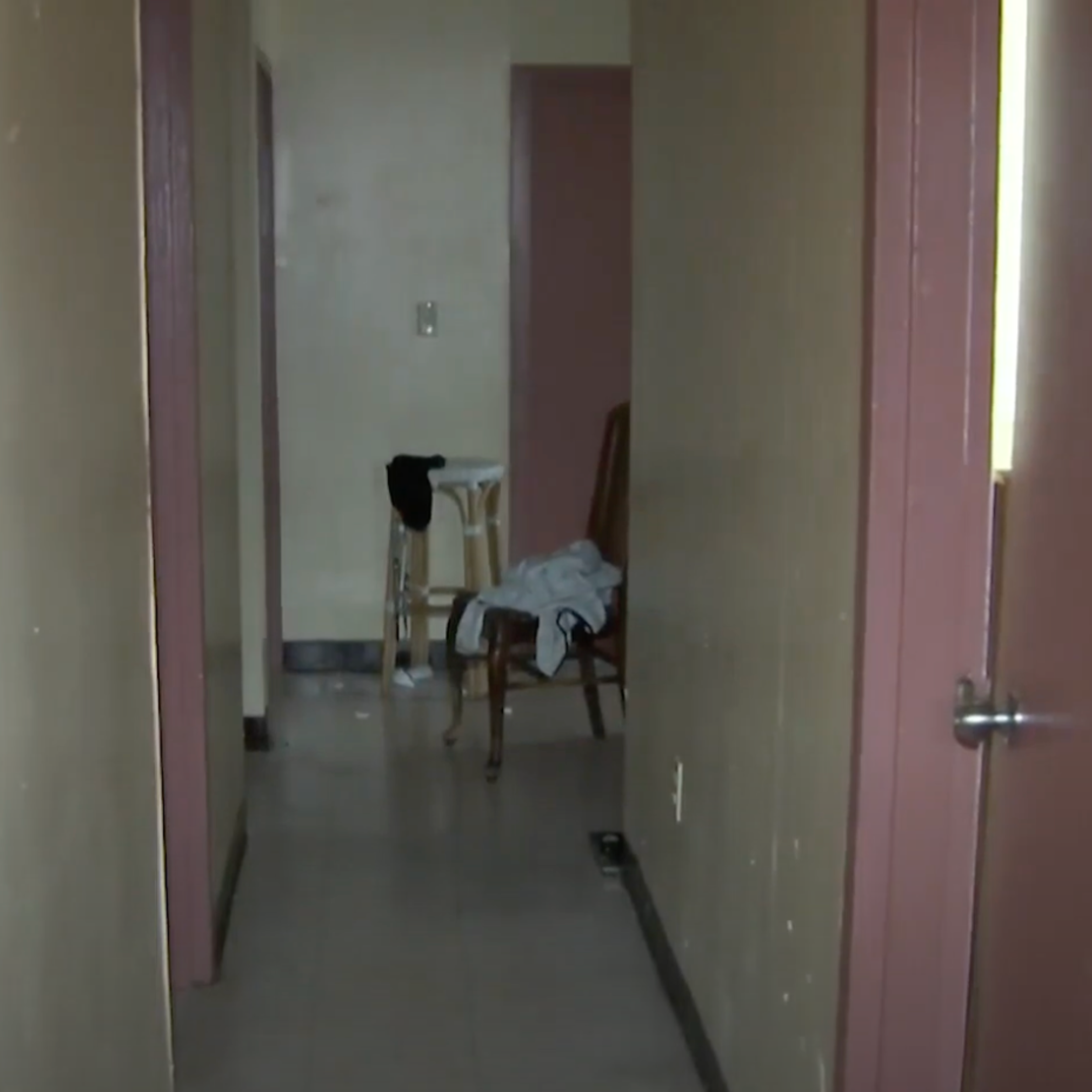 Portfolio — Daisy Kershaw