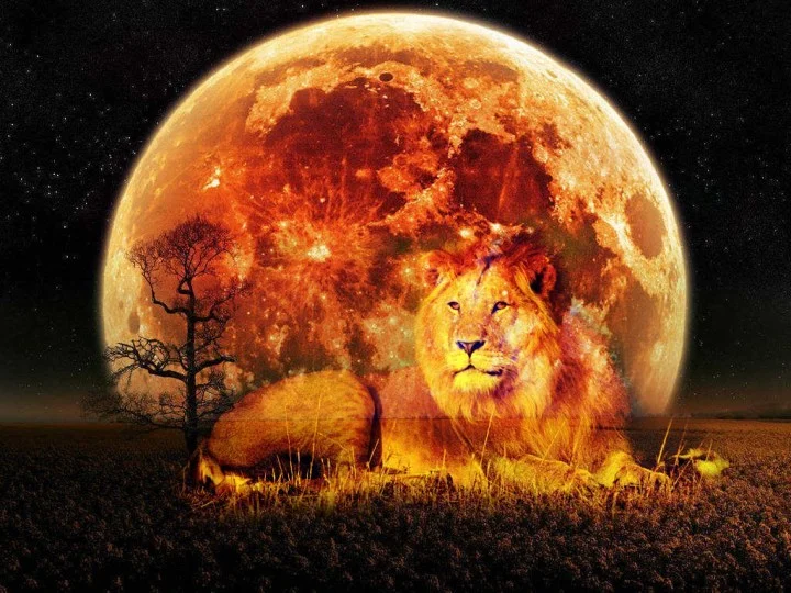 leo2018eclipse.jpg