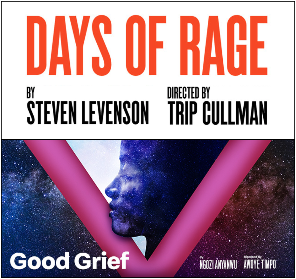 REVIEWS: “Days of Rage” and “Good Grief”