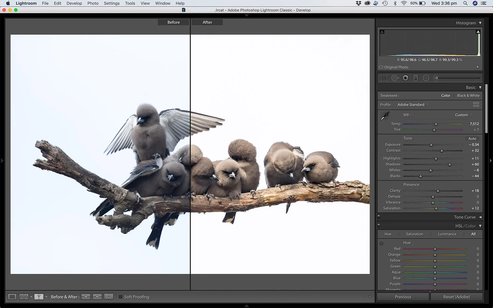 LR develop screenshot_Woodswallow Split.jpg
