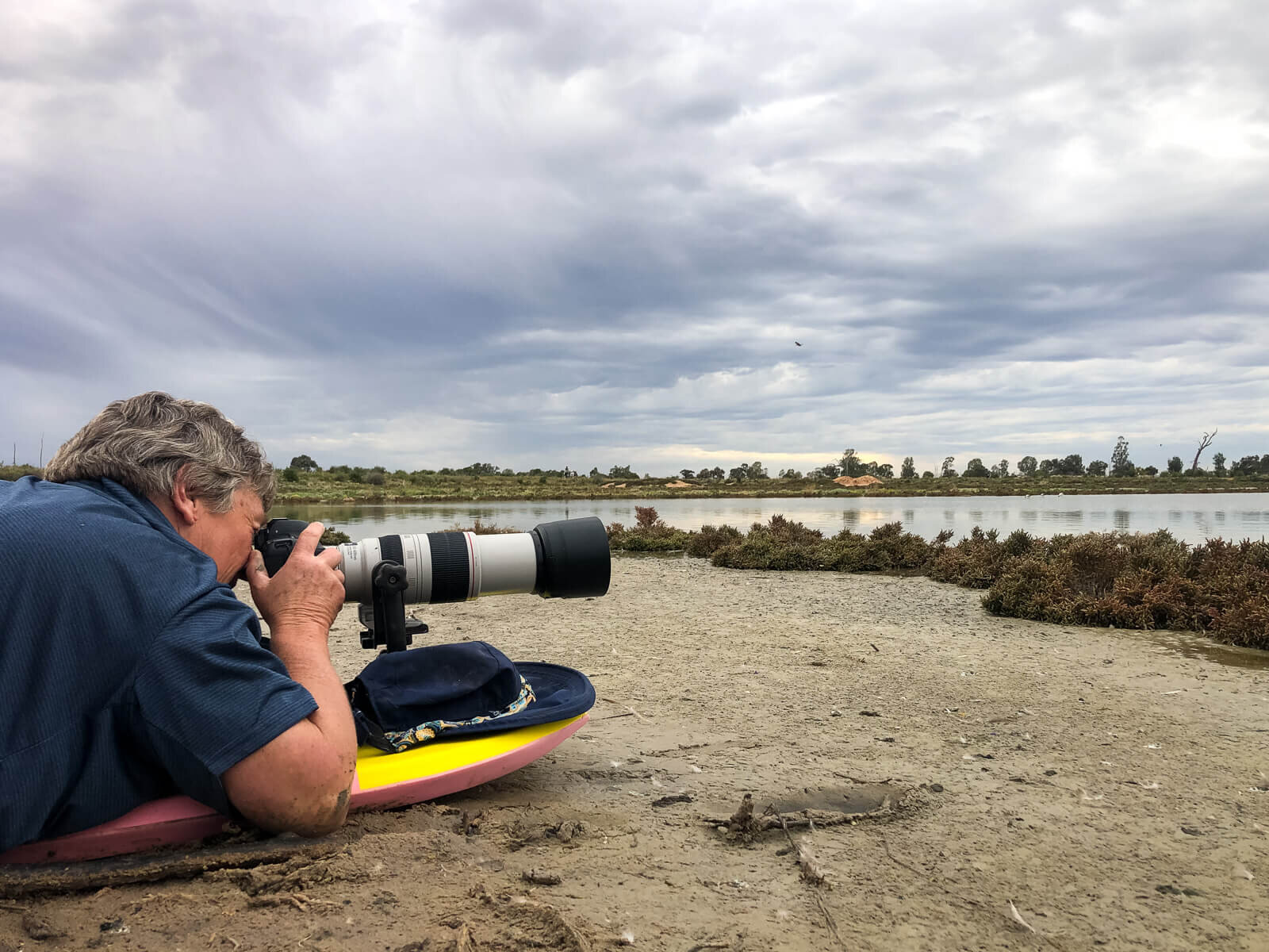 Lachlan Shire-Flock WildlifeIMG_1394.jpg