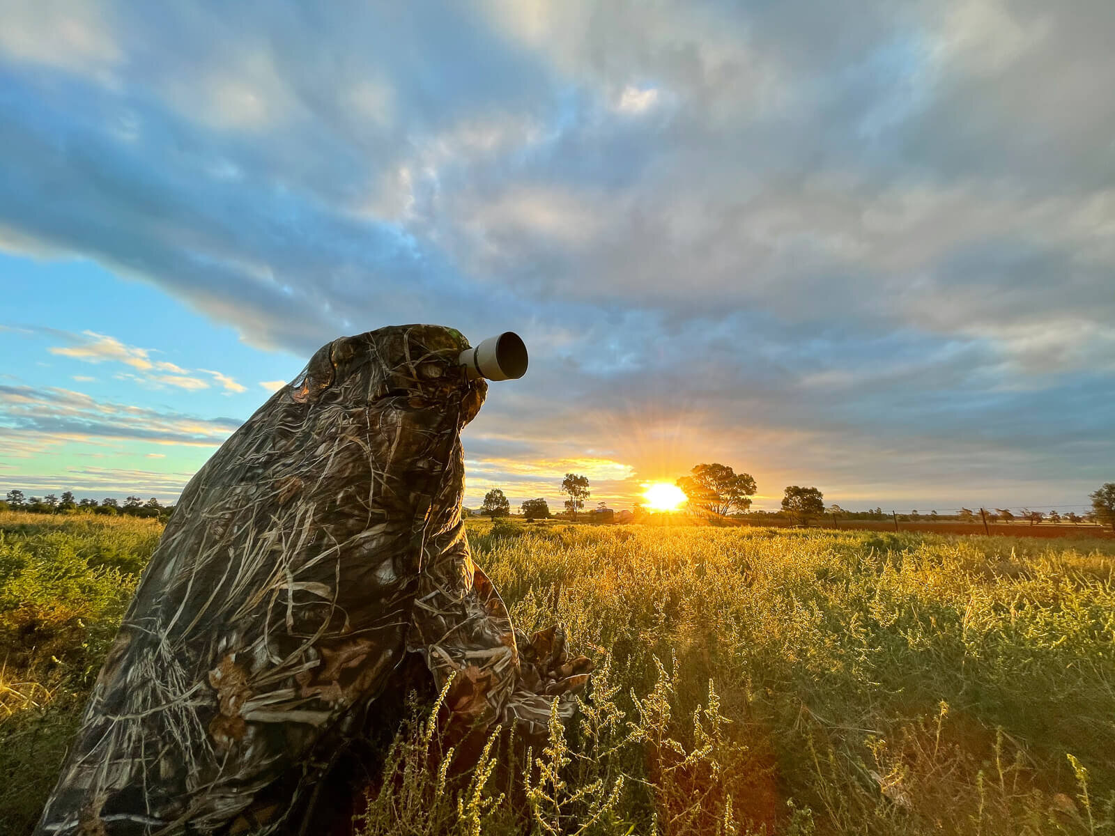 Lachlan Shire-Flock WildlifeIMG_3411.jpg