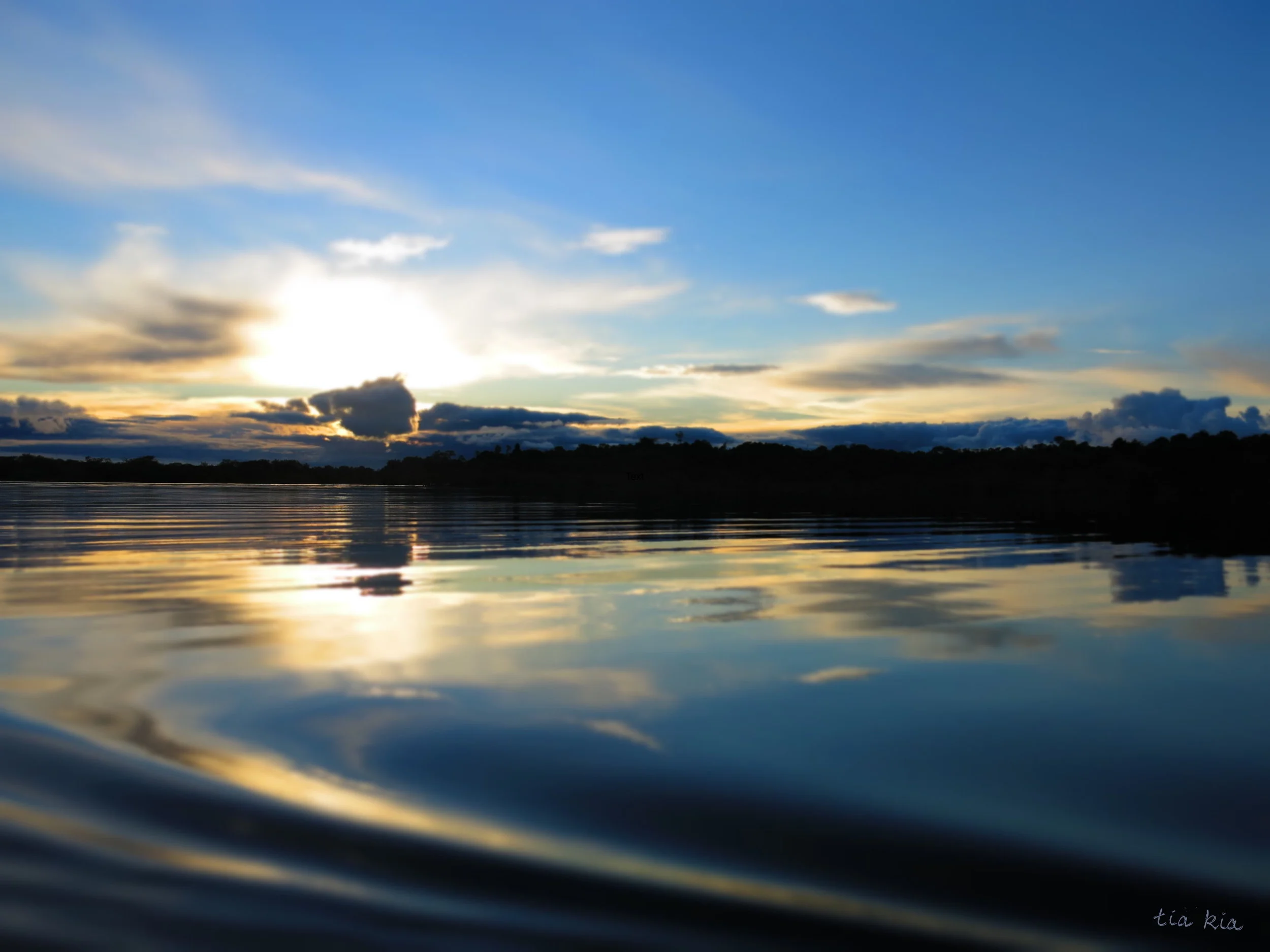 Serenity in the Amazon