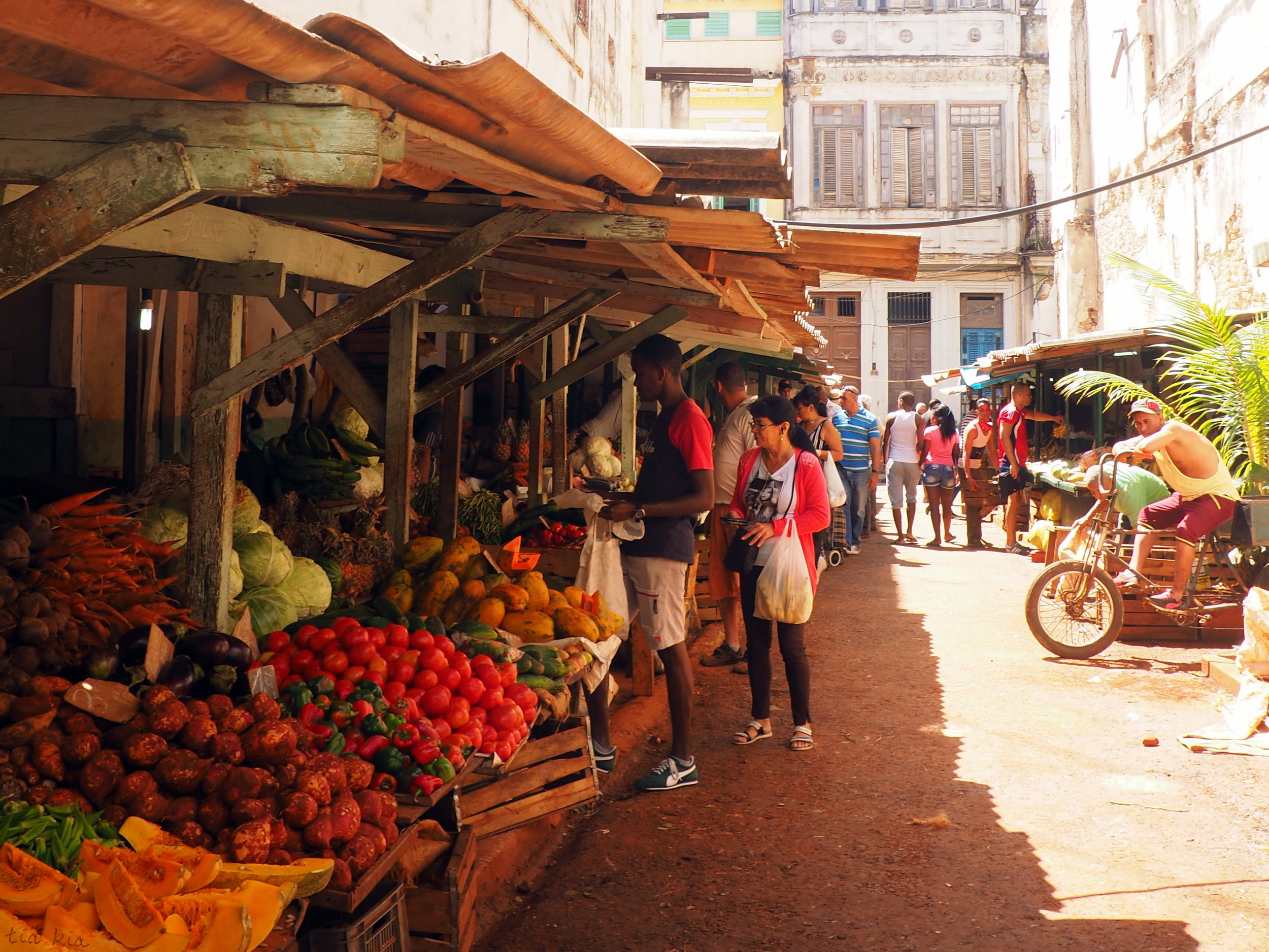 Havana Markets