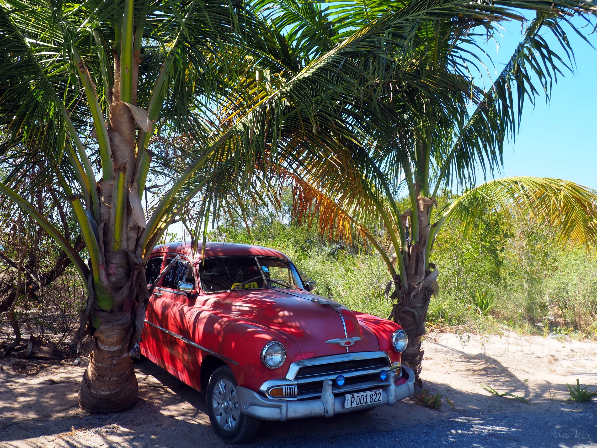 Cuban car at Cayo Jutías