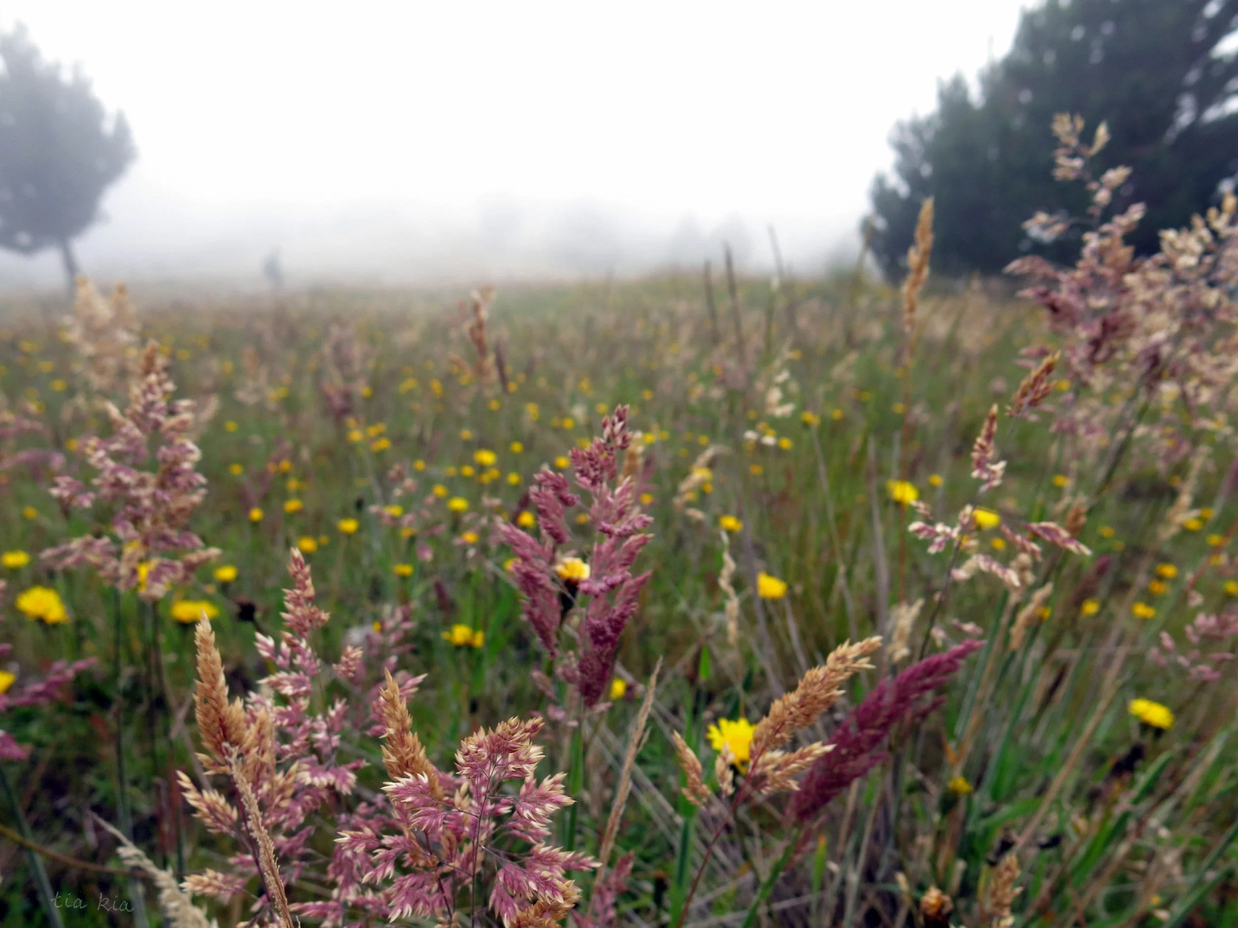 A memorable bus journey in Ecuador