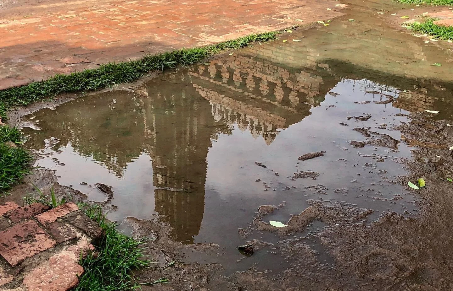 We often walk with our head down, looking at our phones, or just not looking ahead of us and not embracing the world. But sometimes even when you’re trying to ignore what’s around you, the universe puts it right where you’re about t